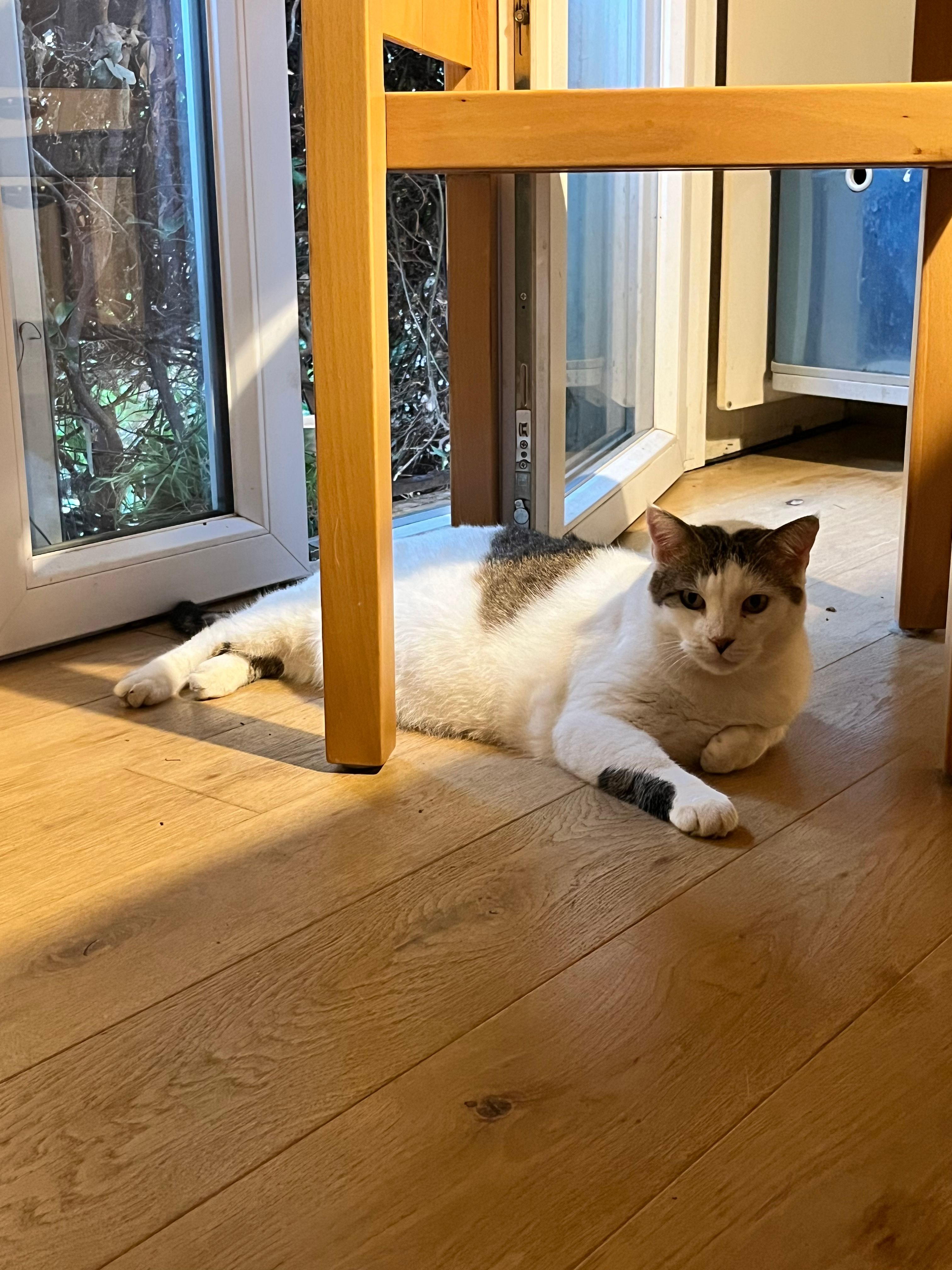 image-12