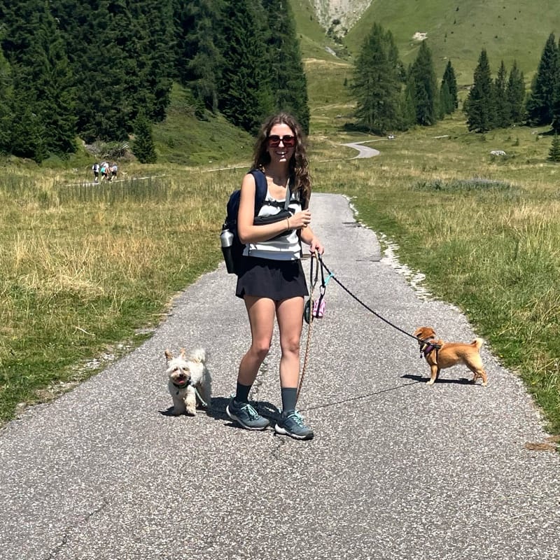 Elisa