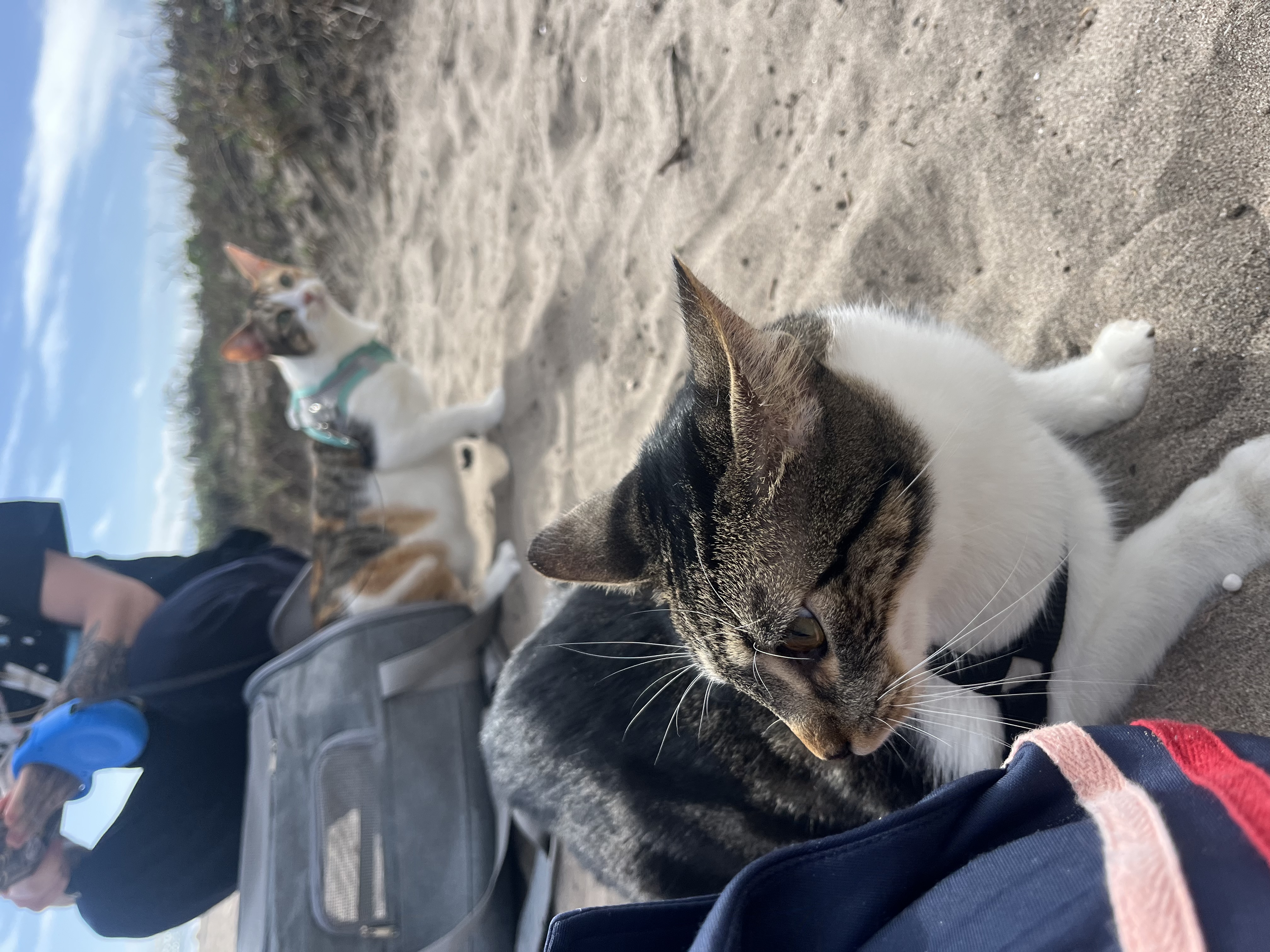 image-10