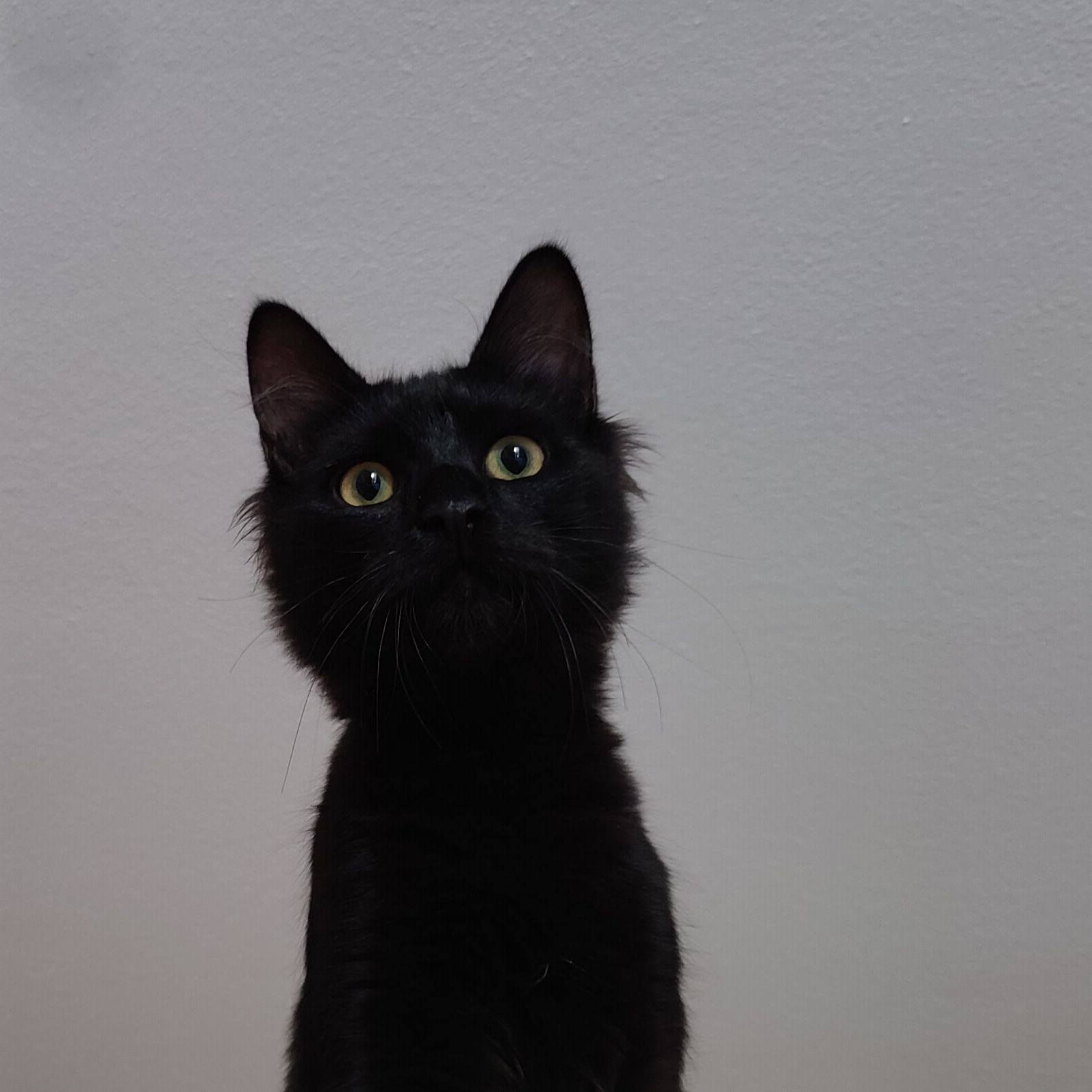 Pixel