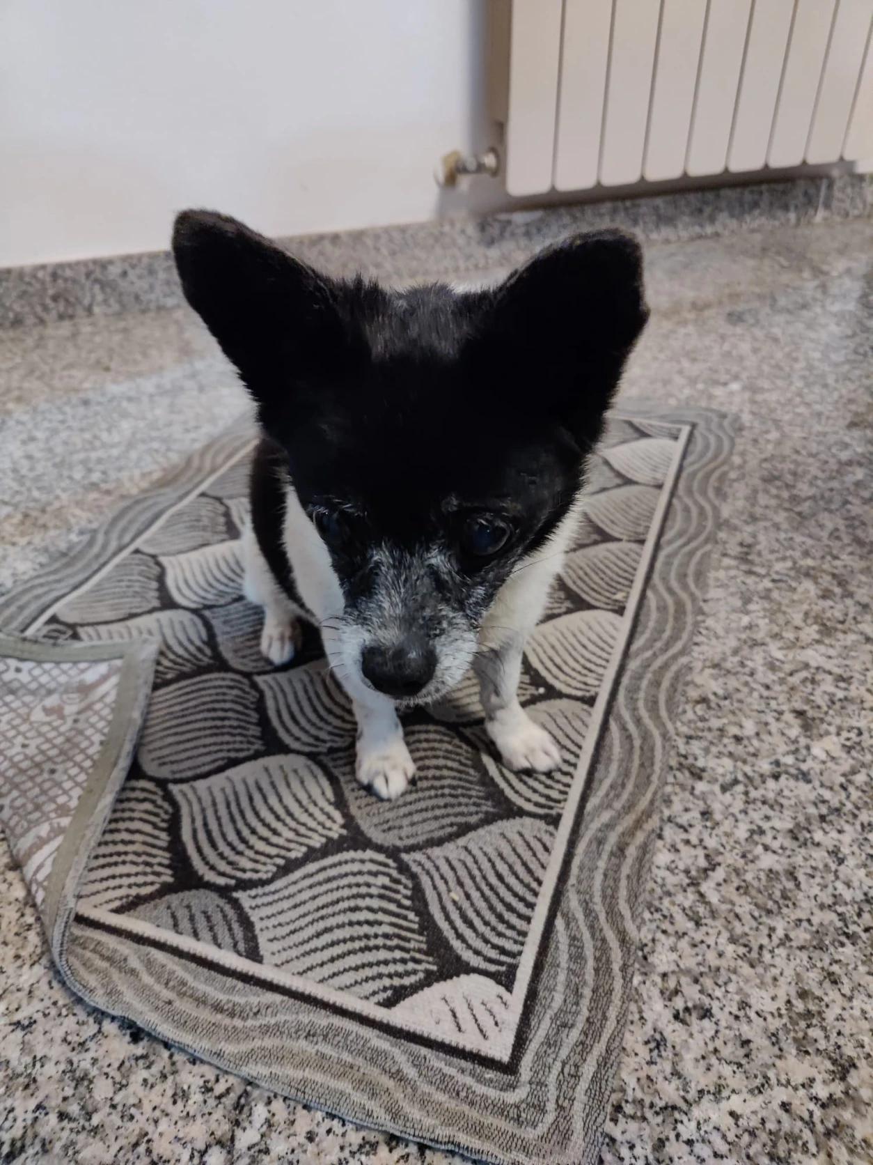 image-11