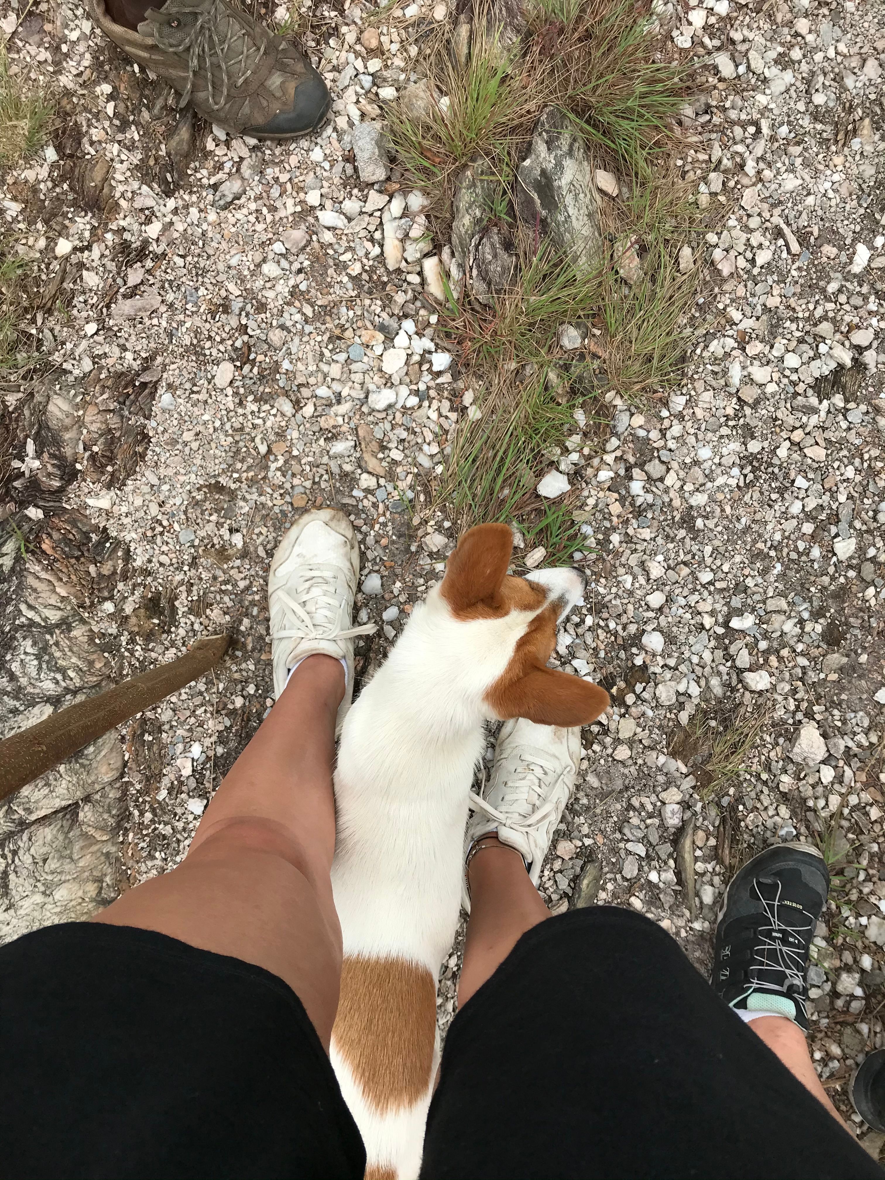 image-8