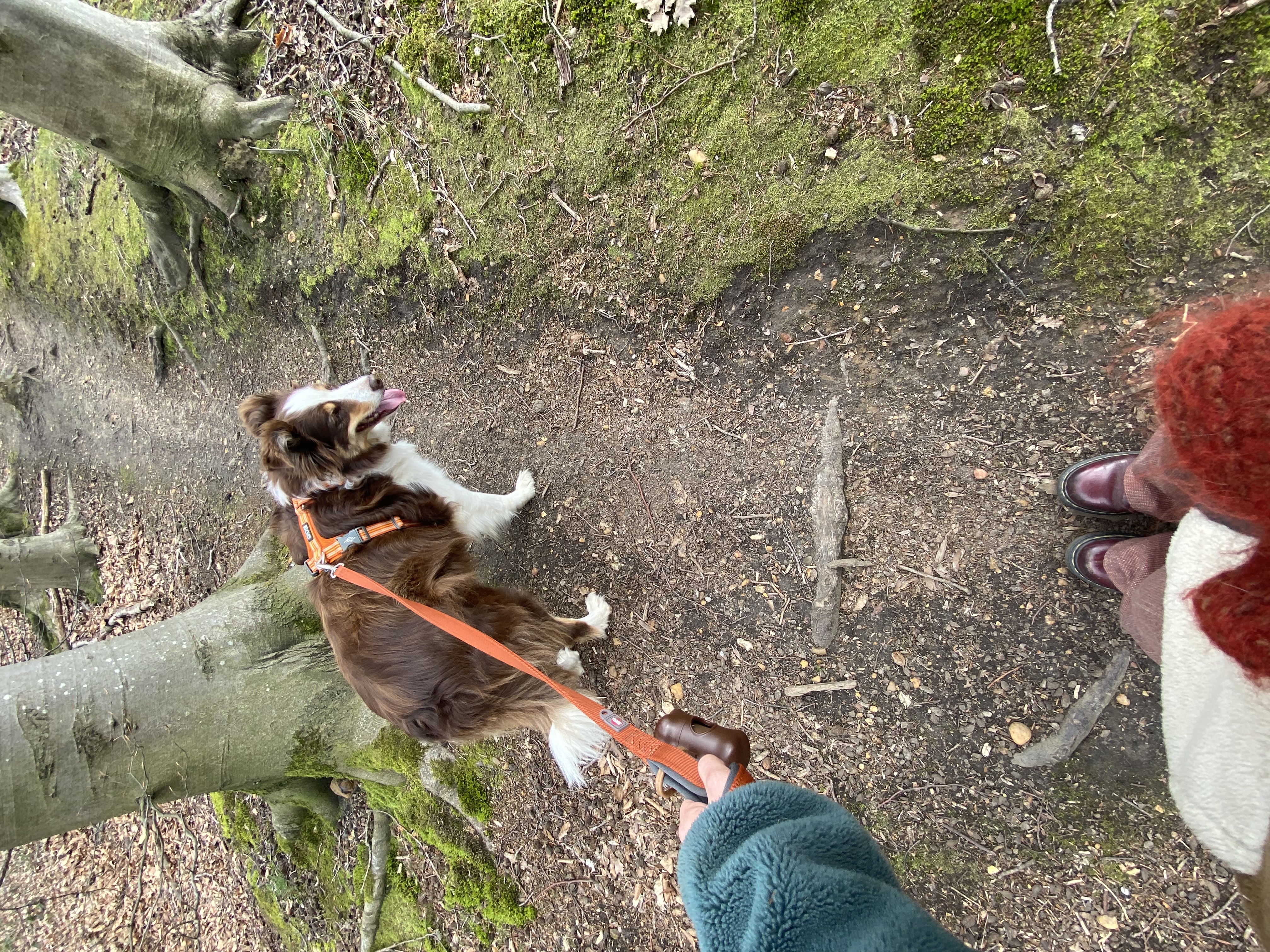 image-6
