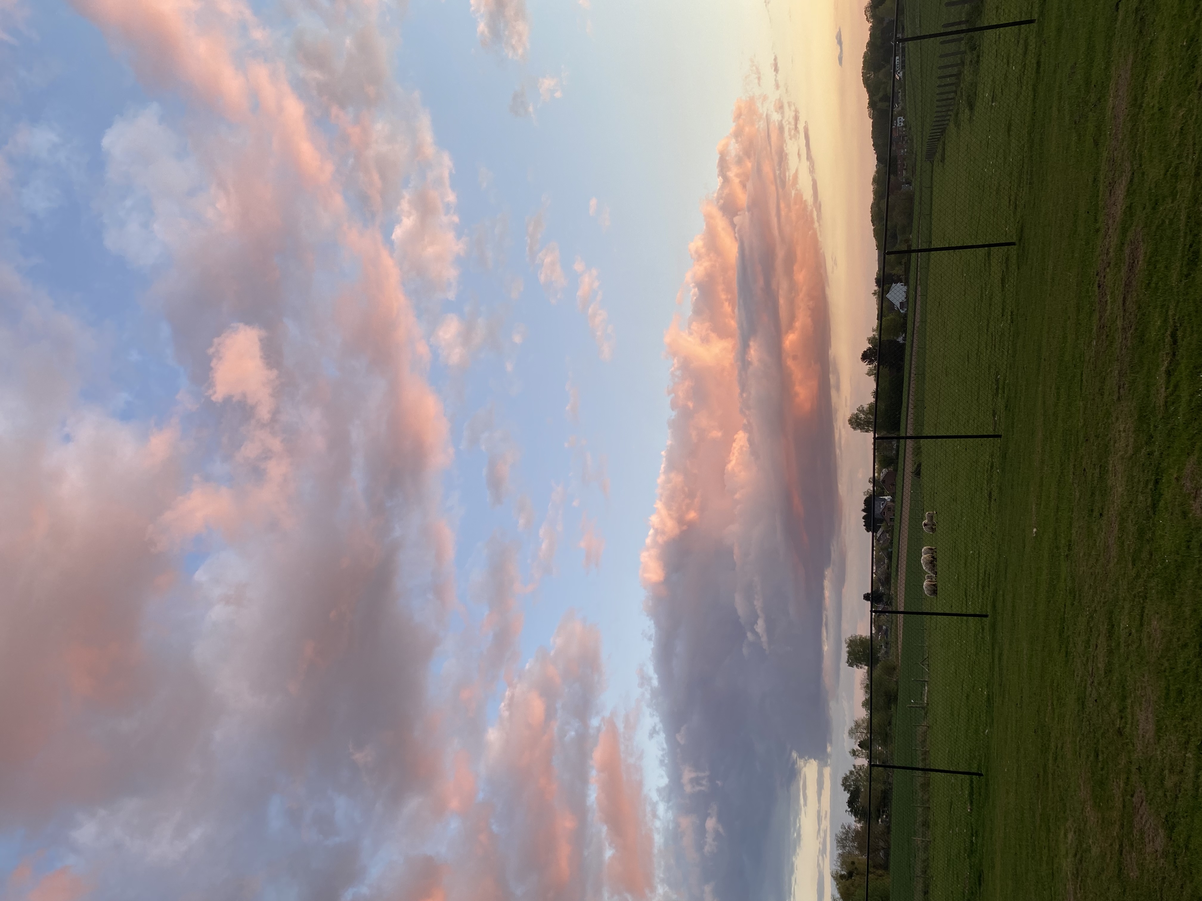 image-18