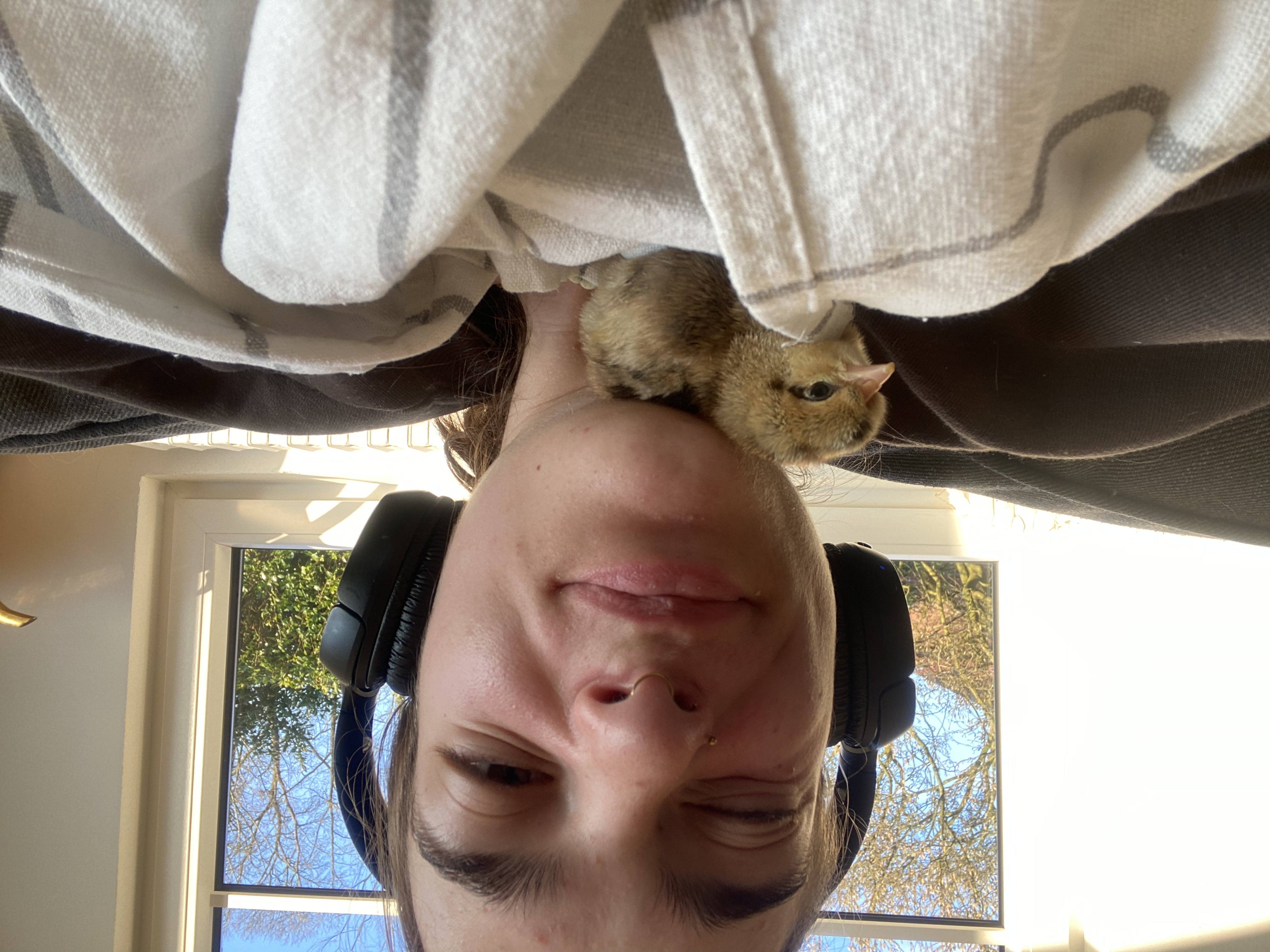 image-2