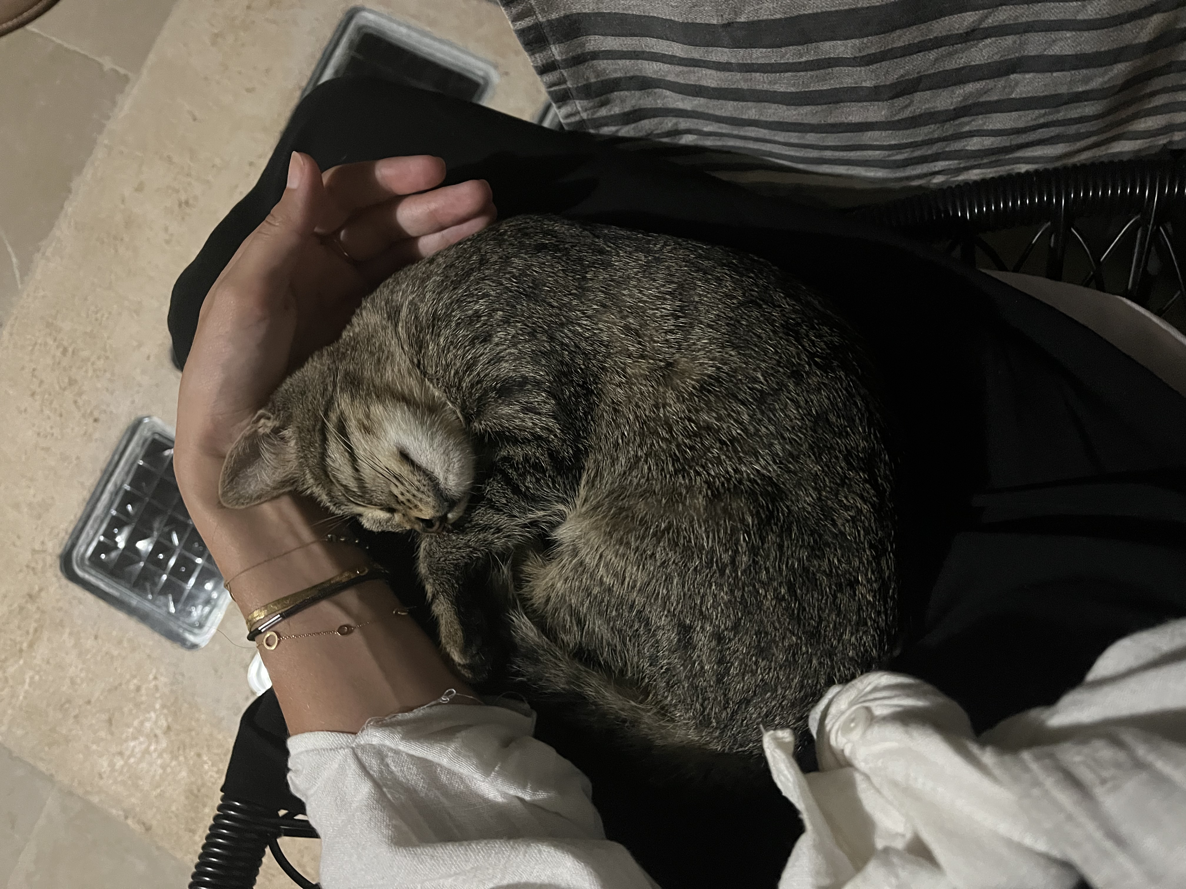 image-9