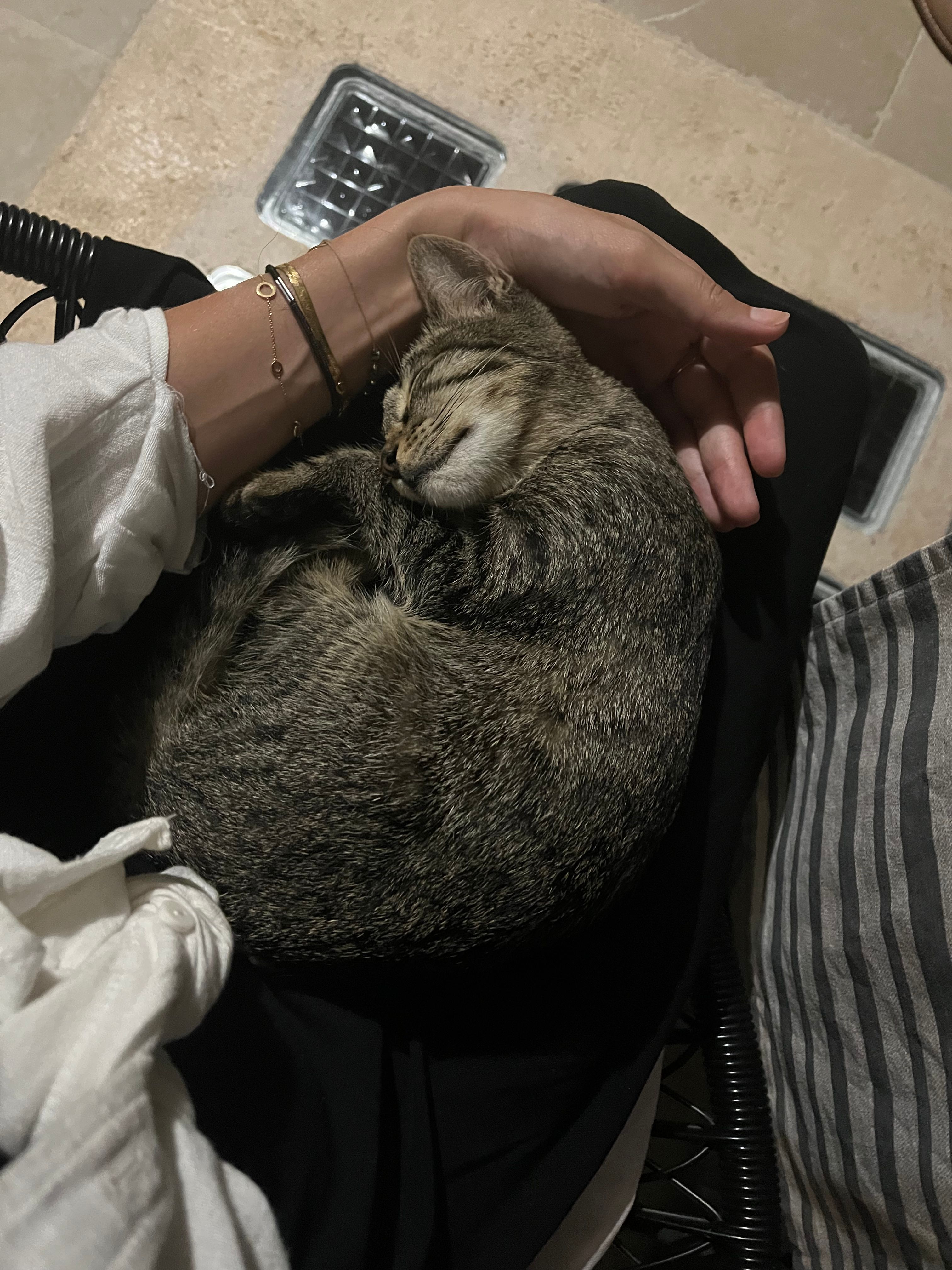 image-9