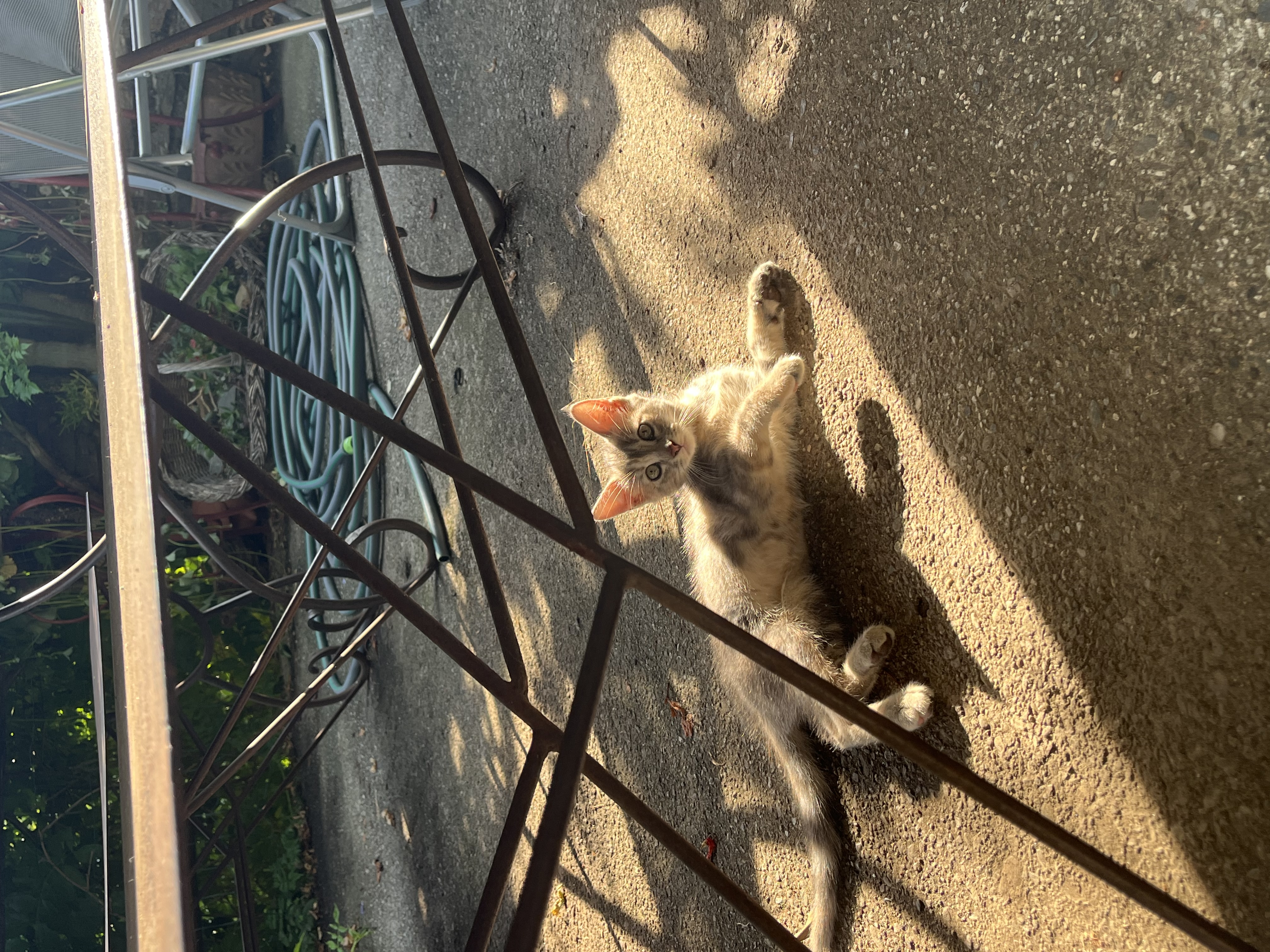 image-8