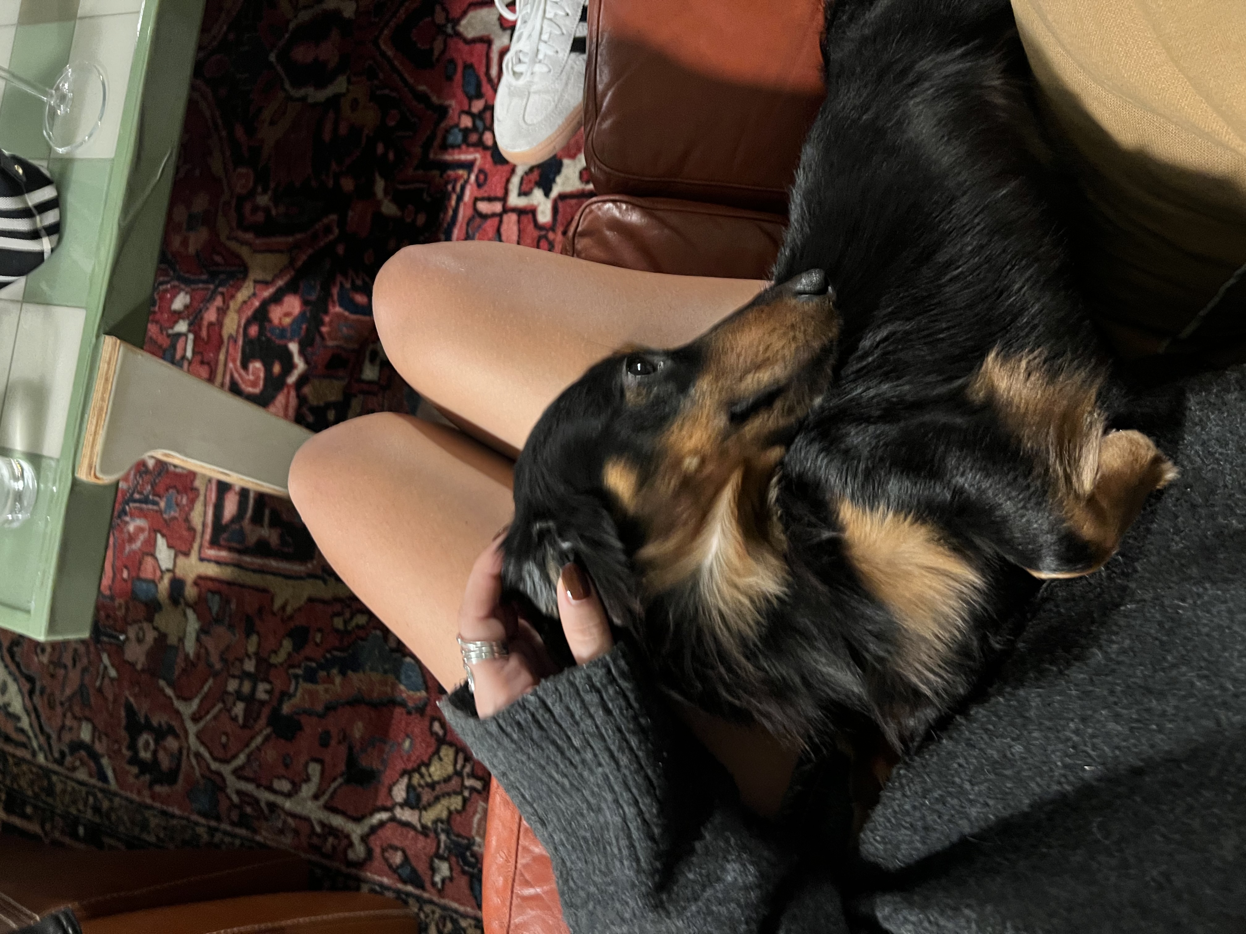 image-6