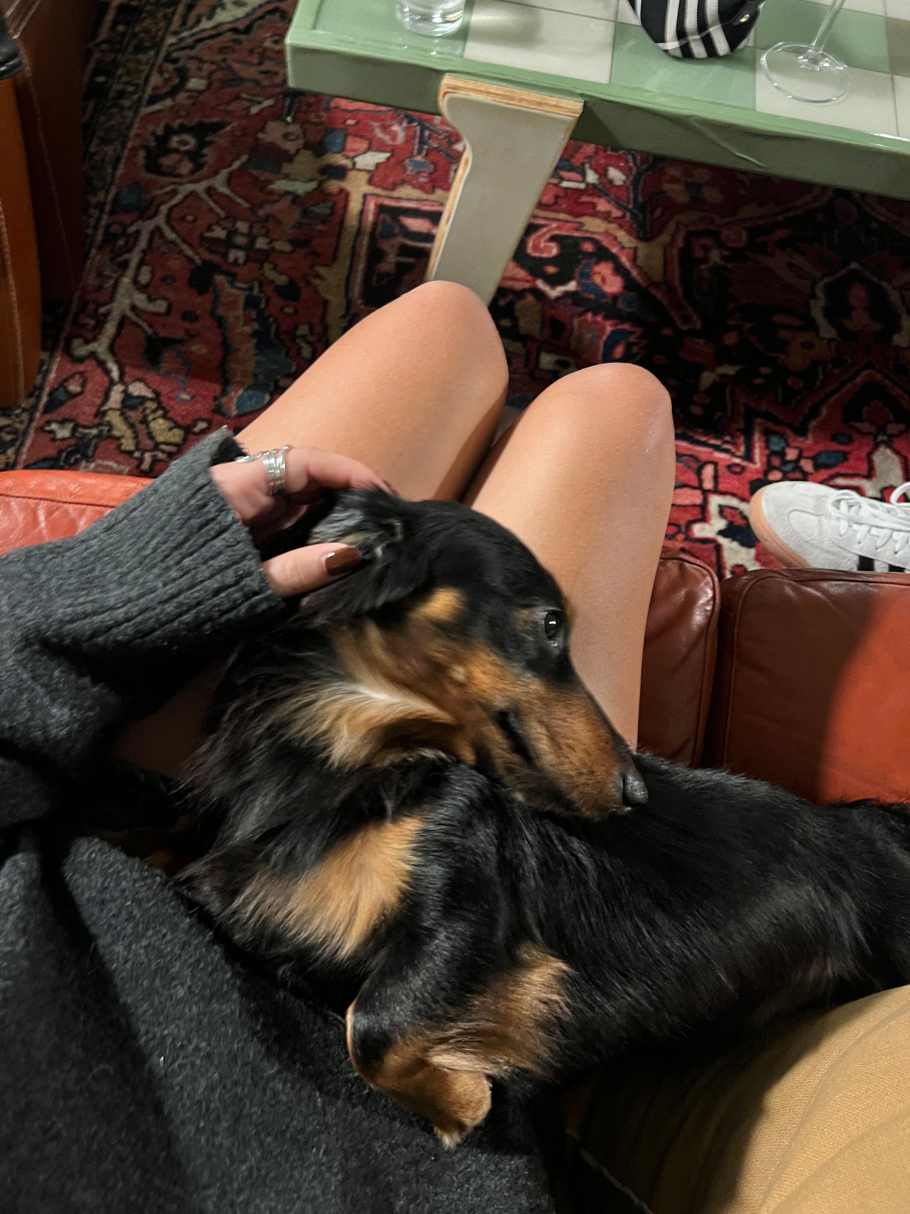 image-6