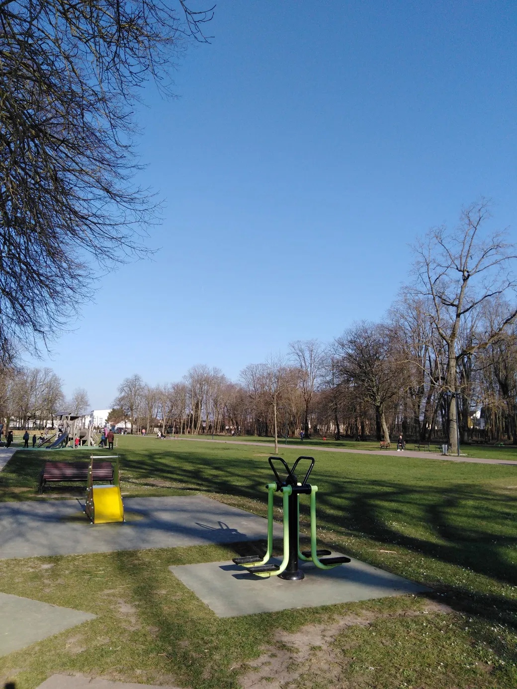 image-15