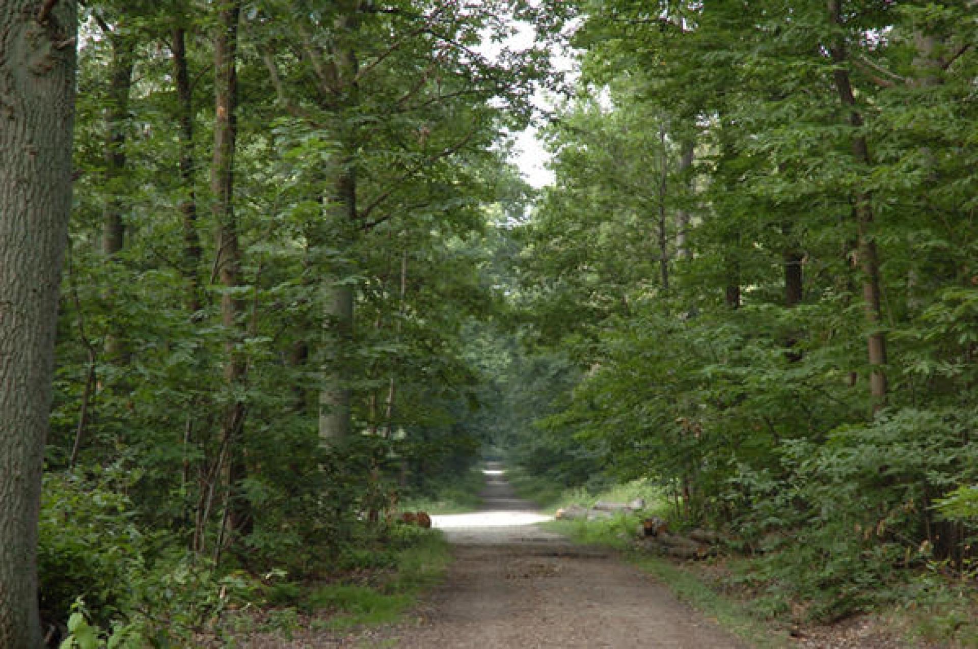 image-17
