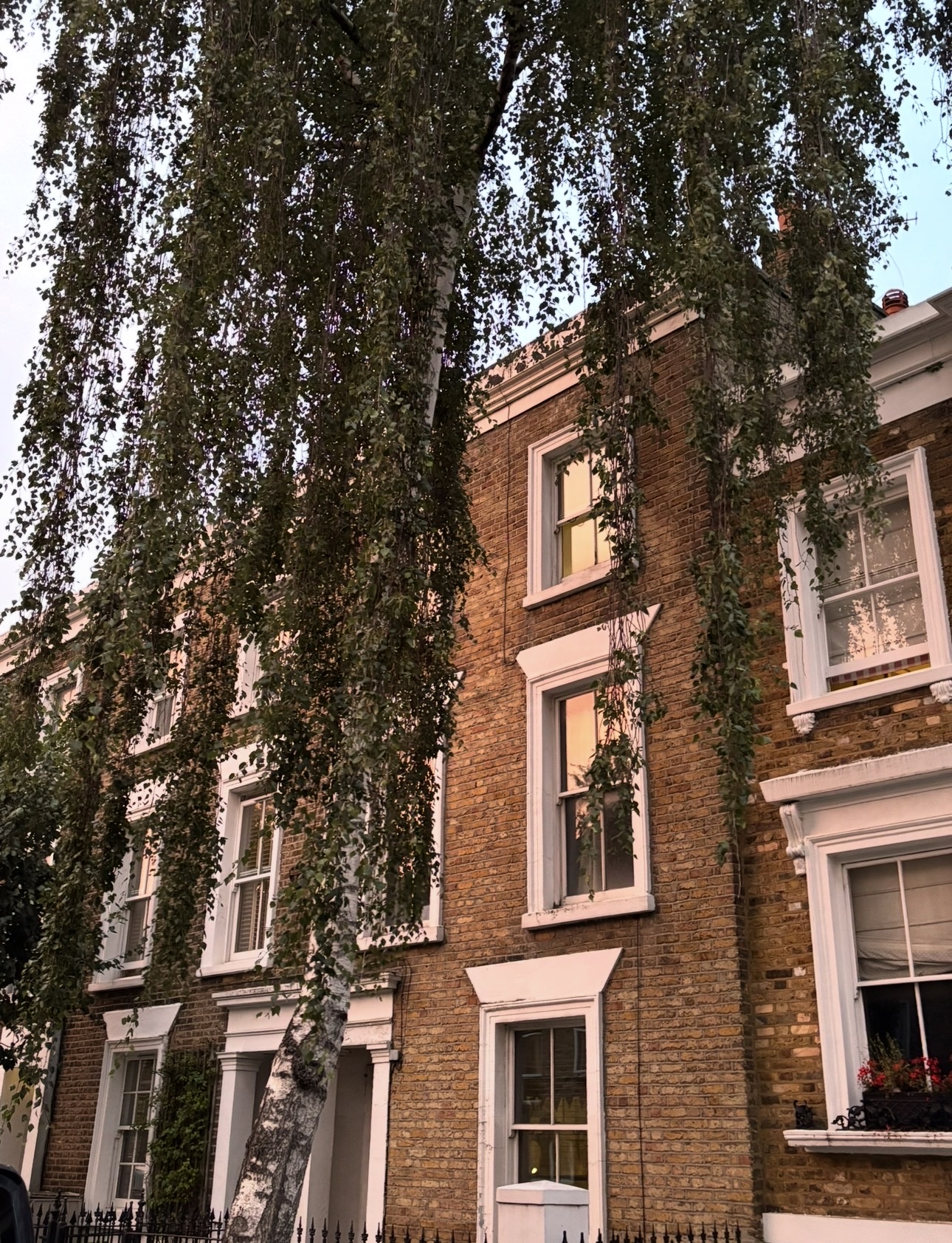 image-17