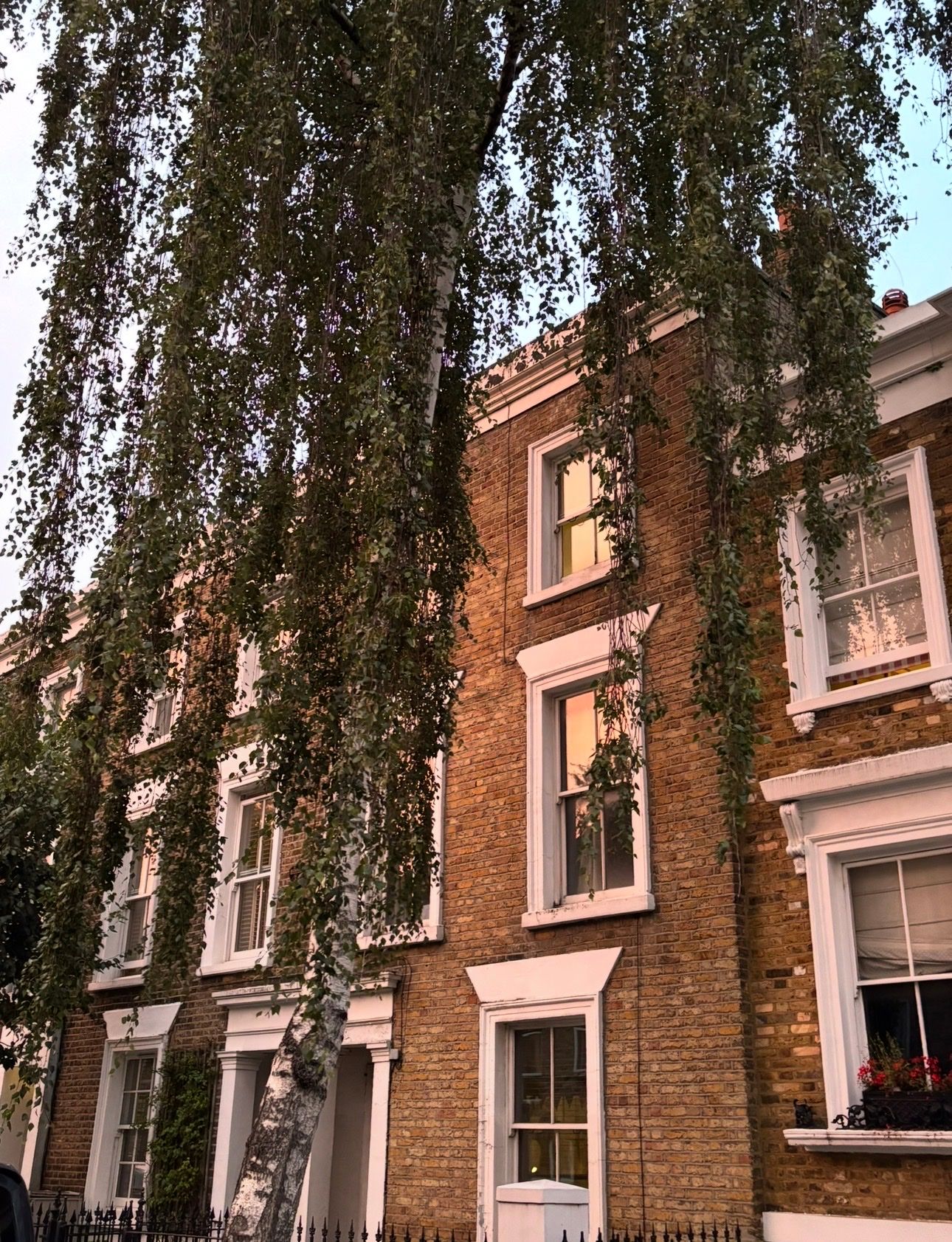 image-17
