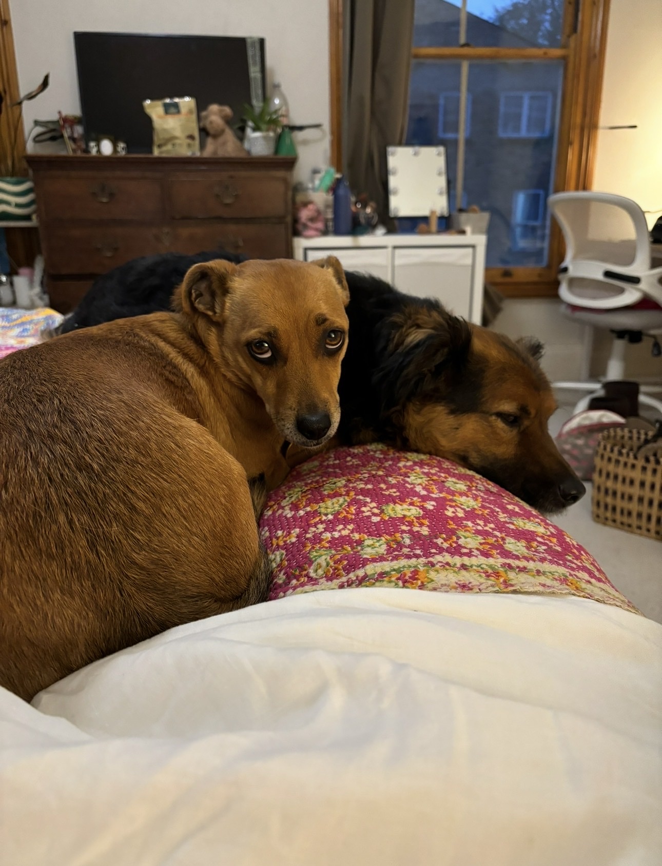 image-16