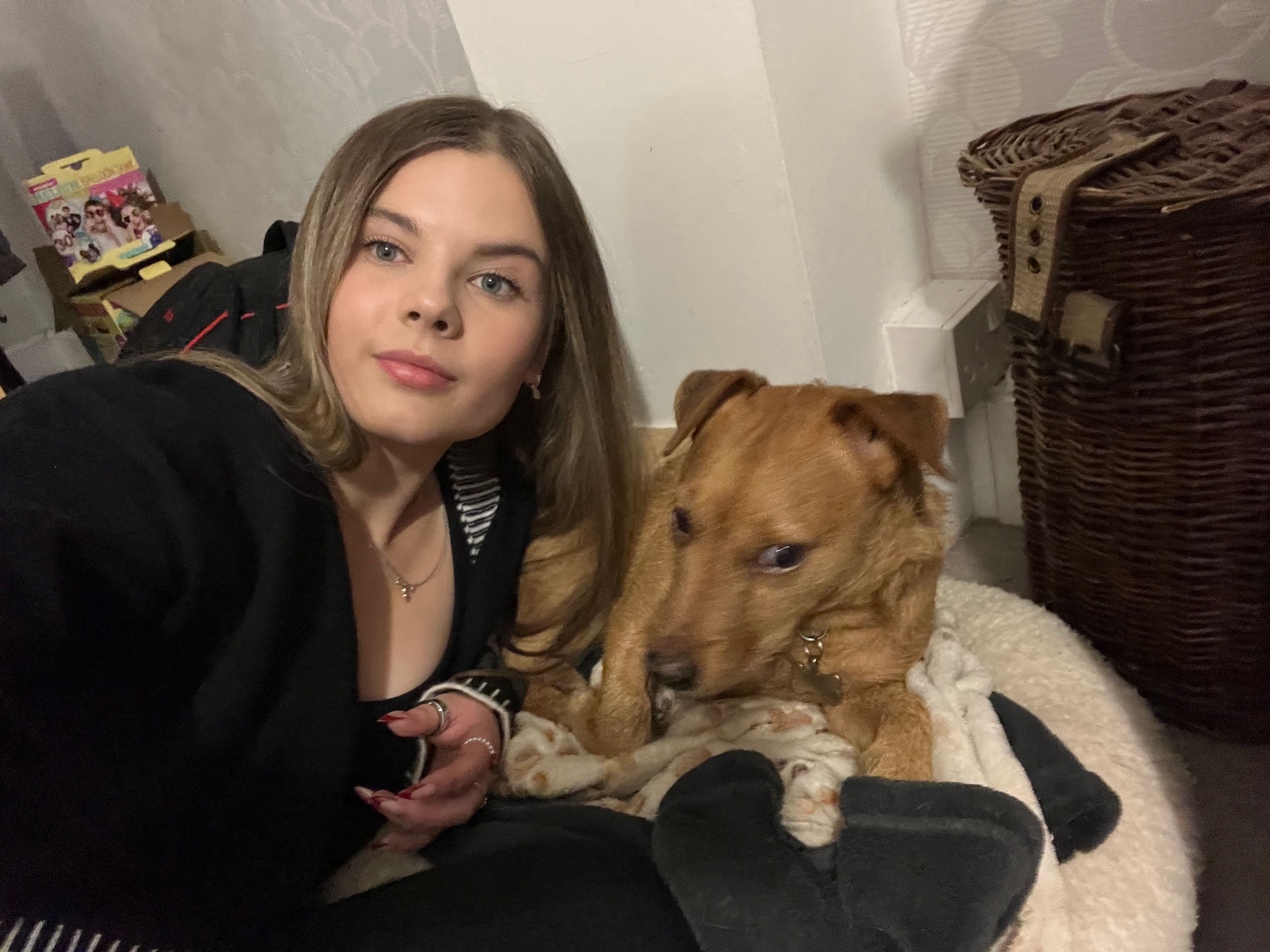 image-6