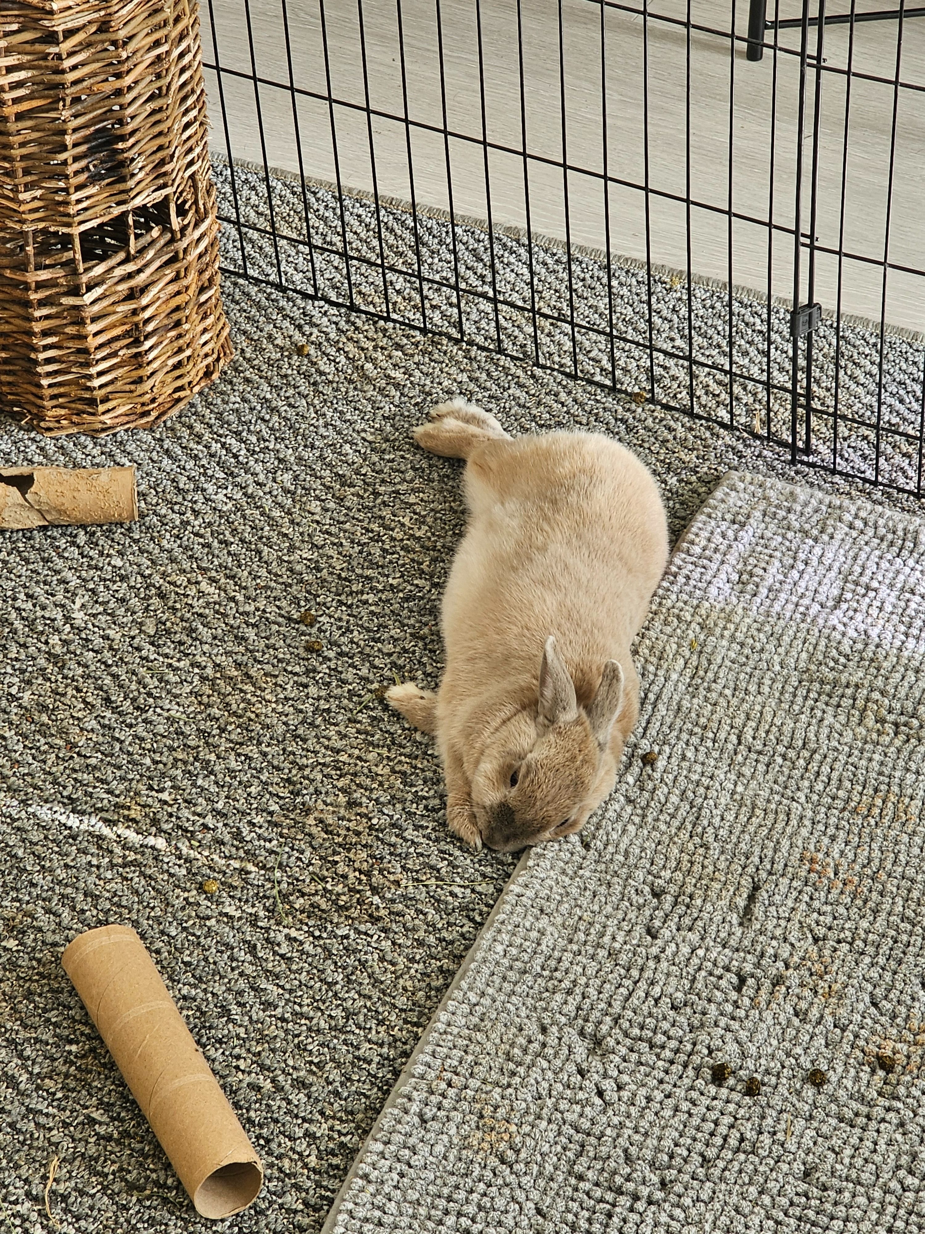 image-9
