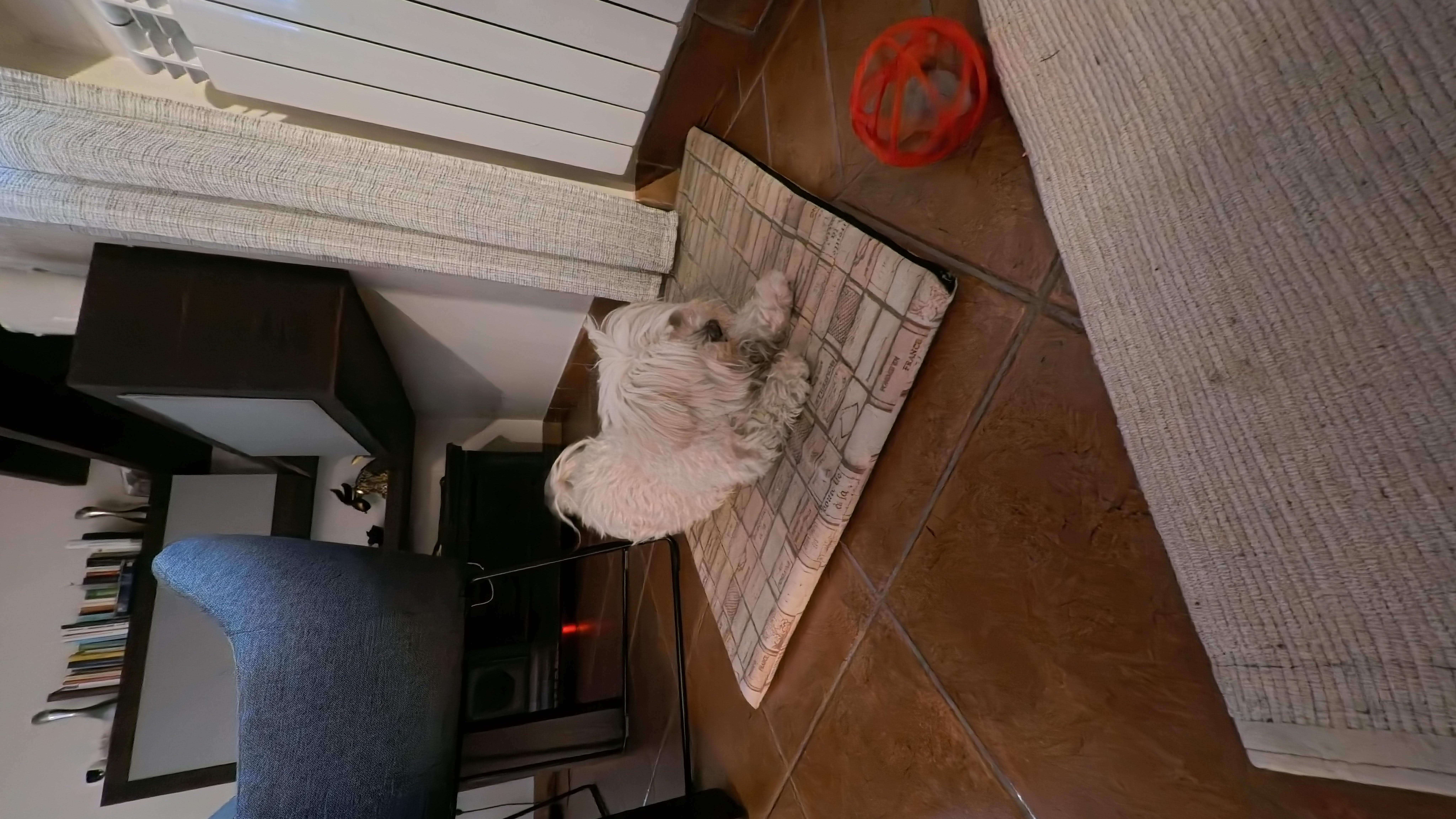 image-9