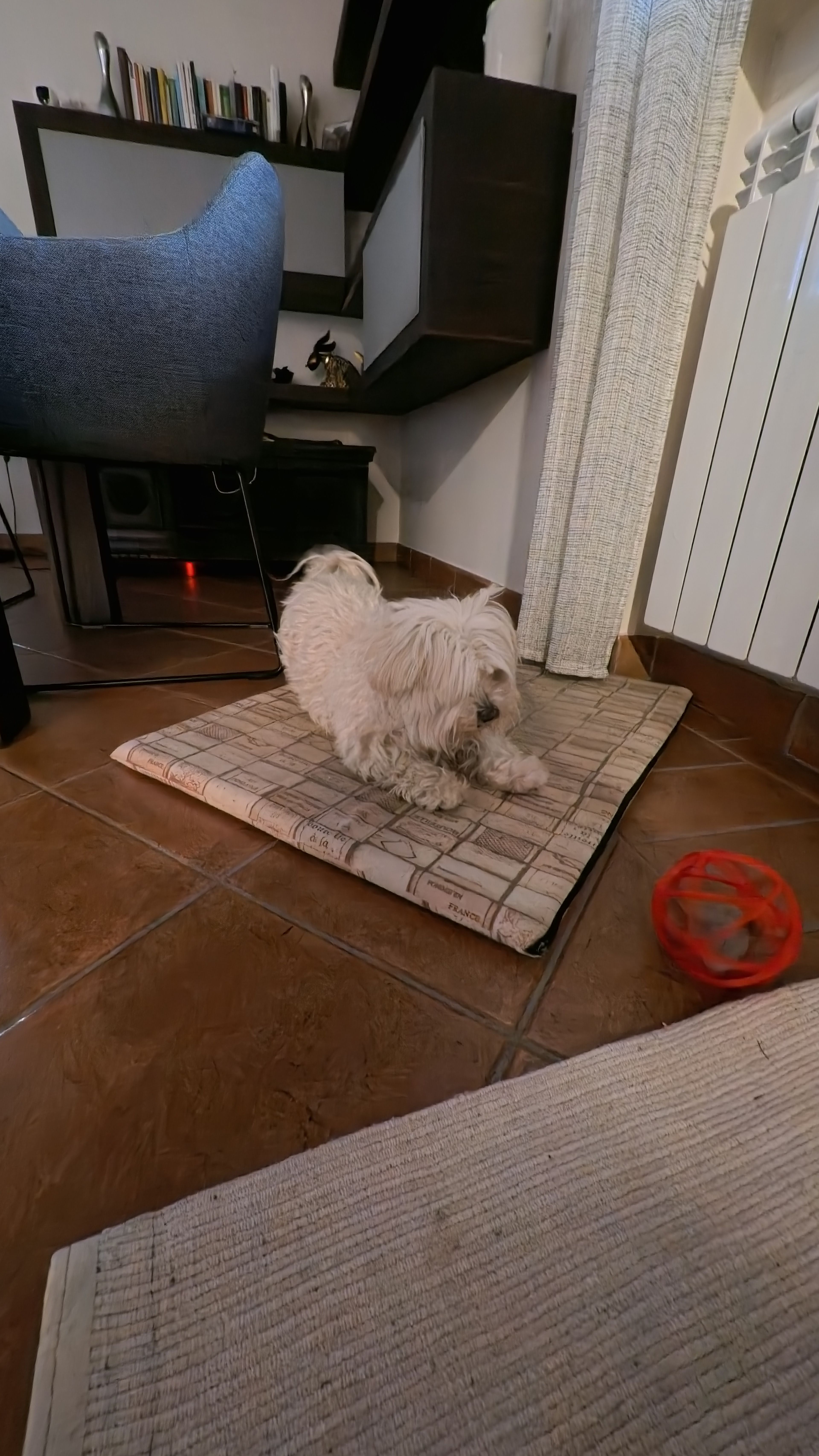 image-9