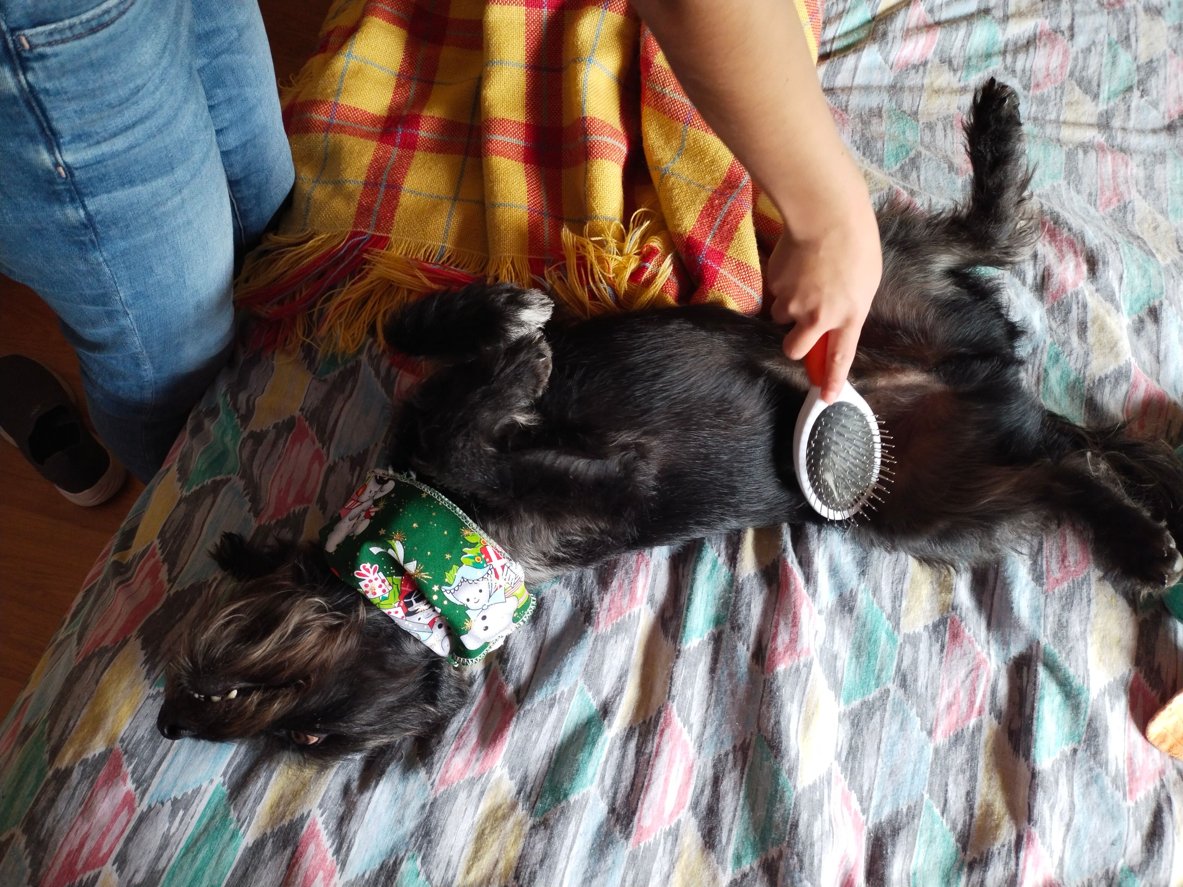 image-7