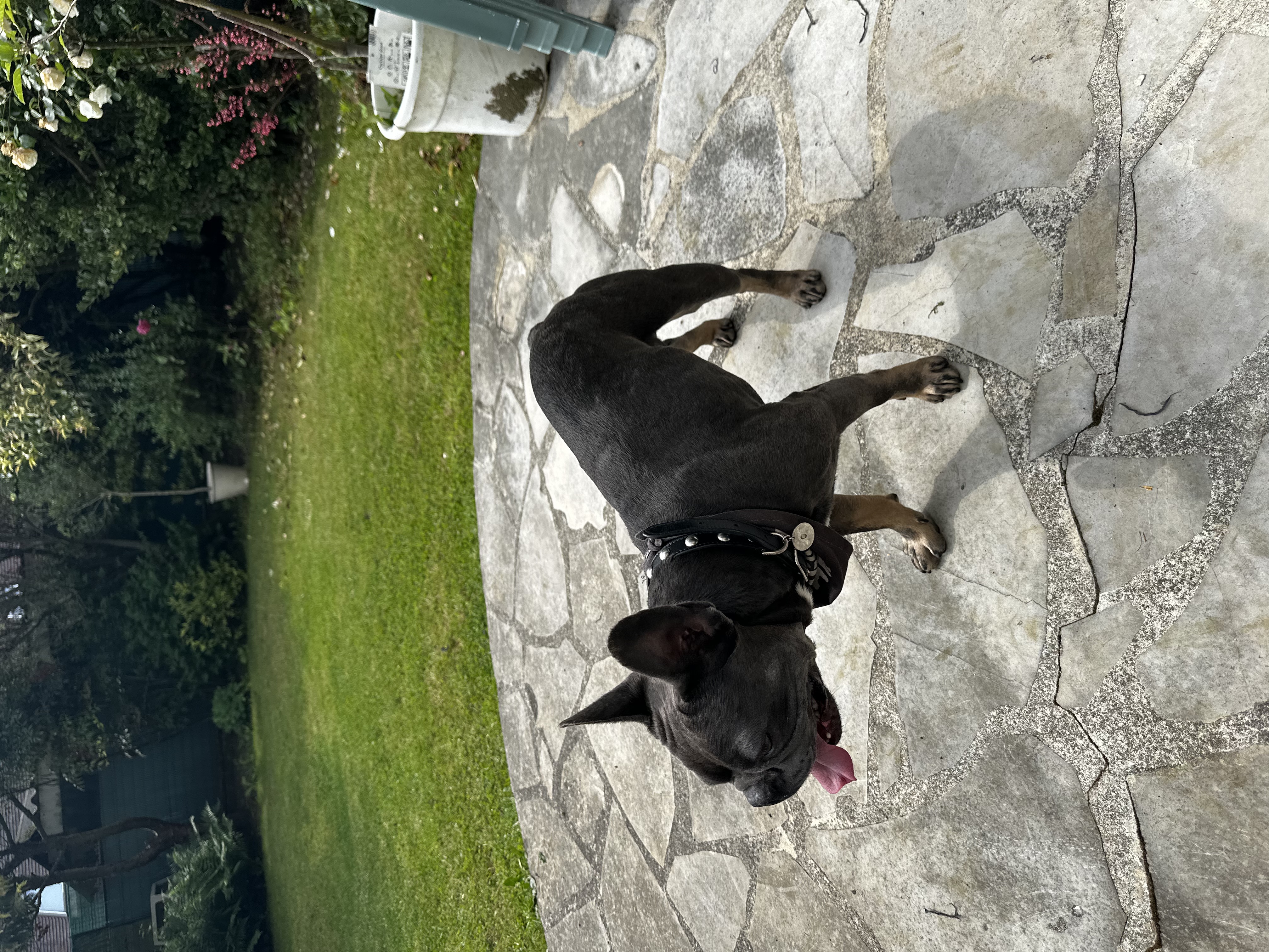 image-6