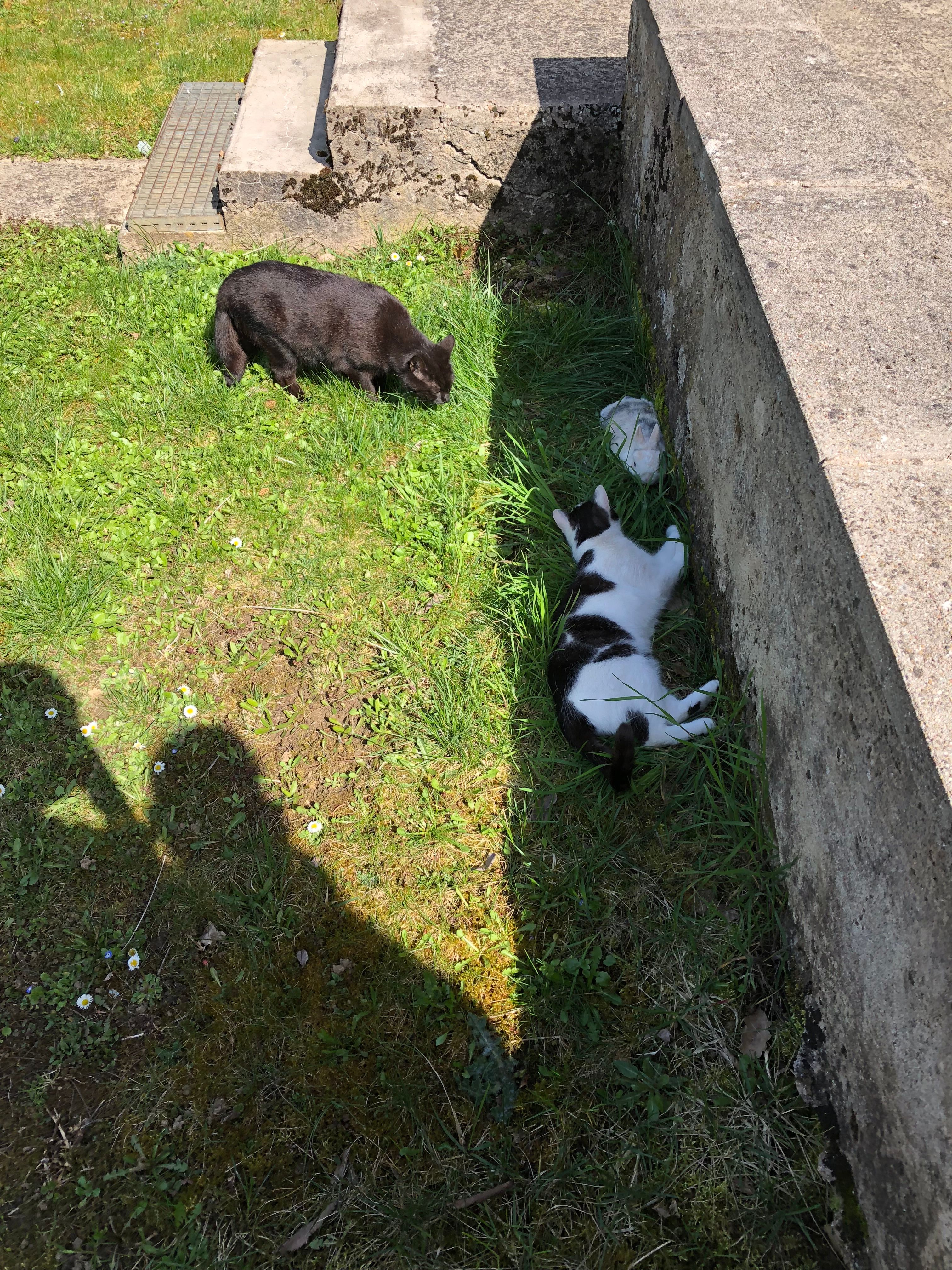 image-11