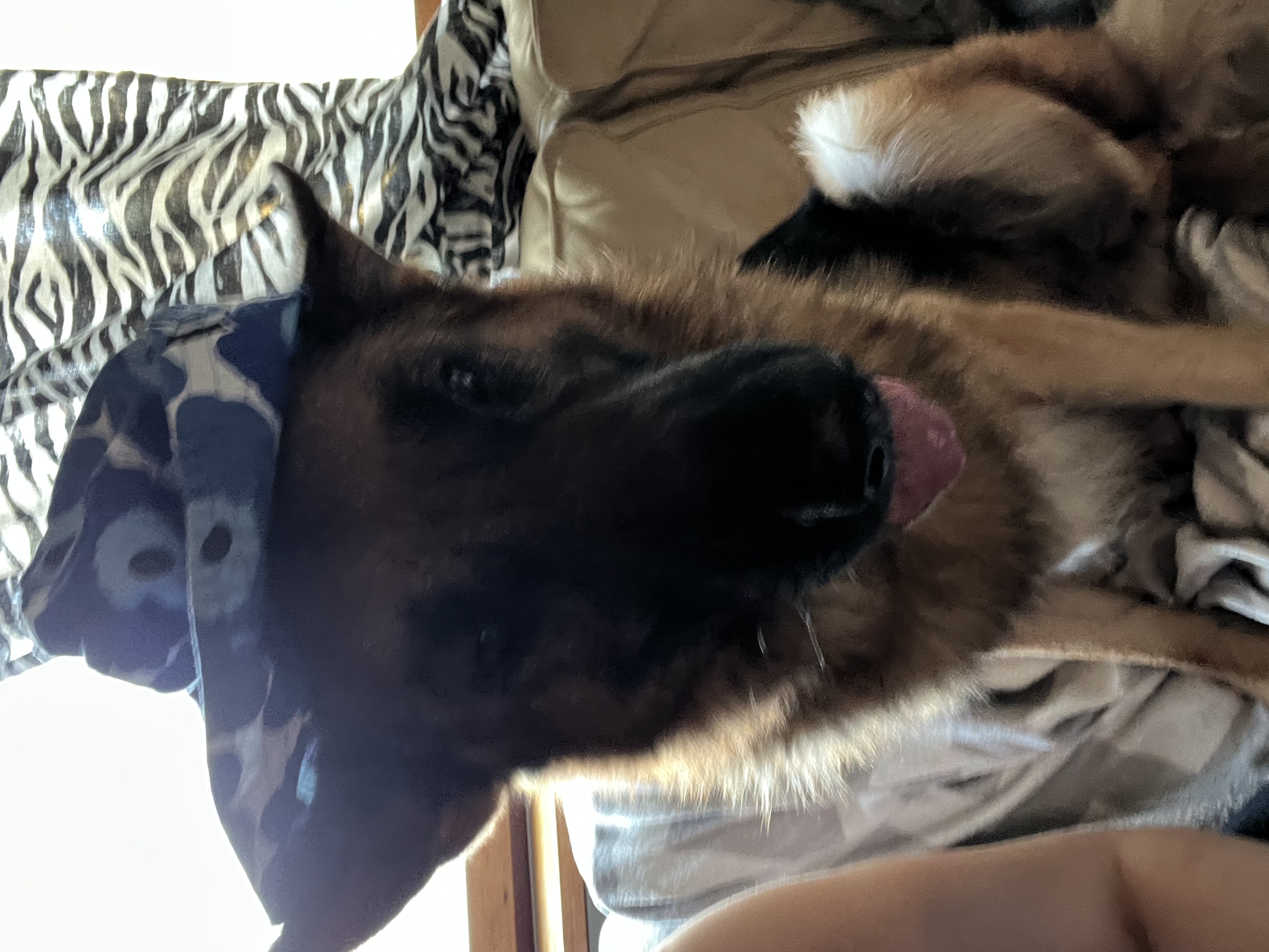image-9