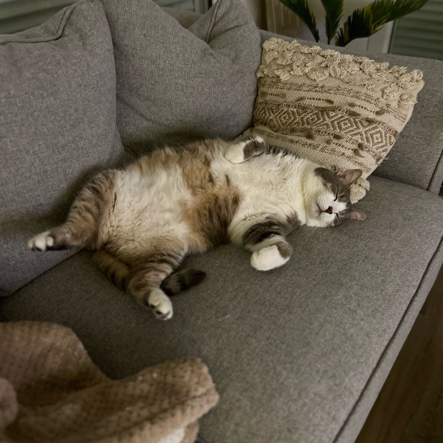 Rio 