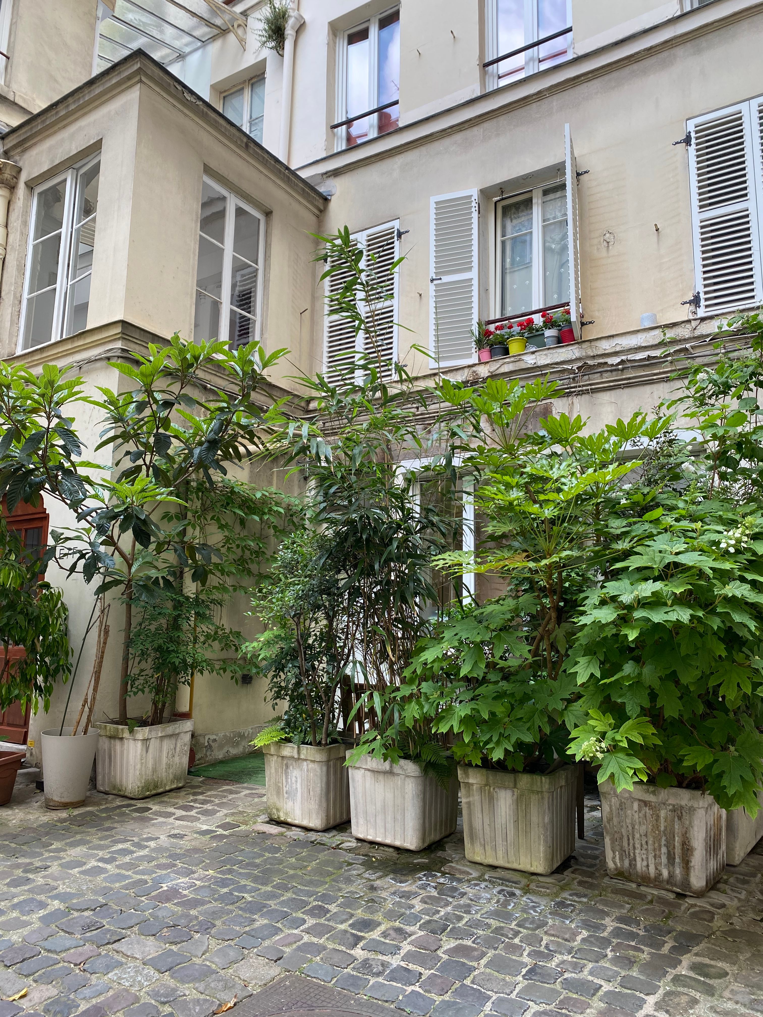 image-14