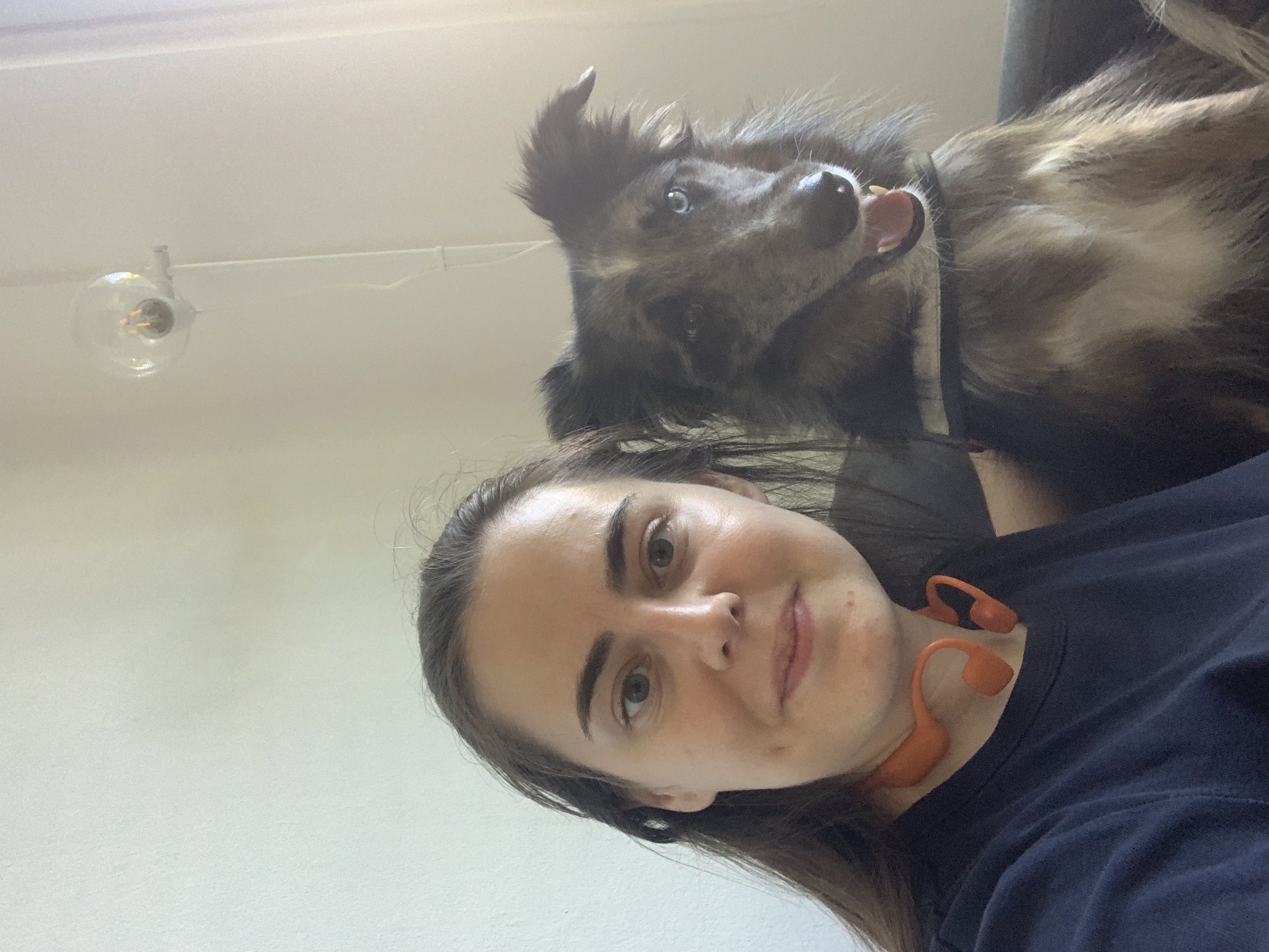 image-7