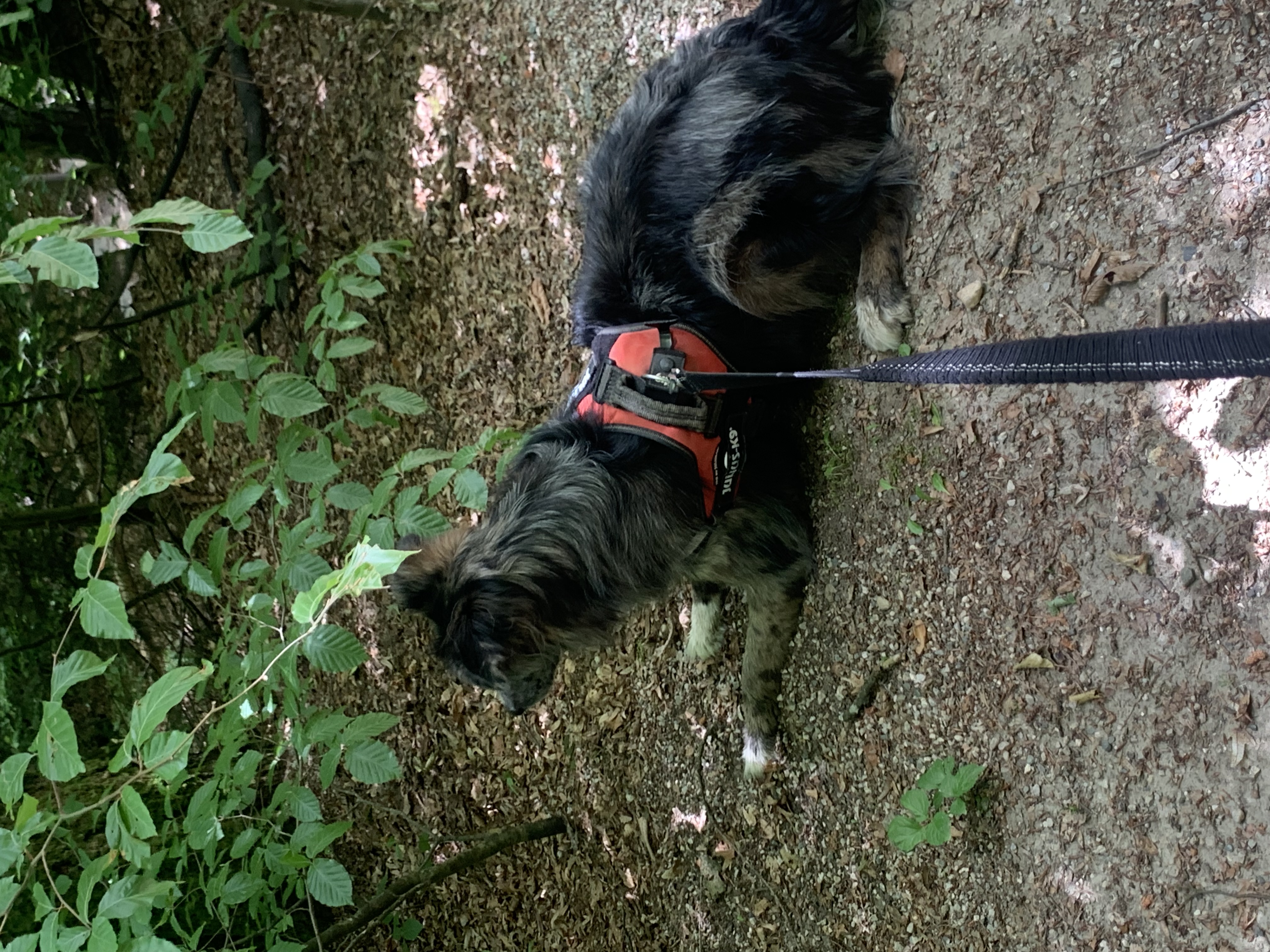 image-9