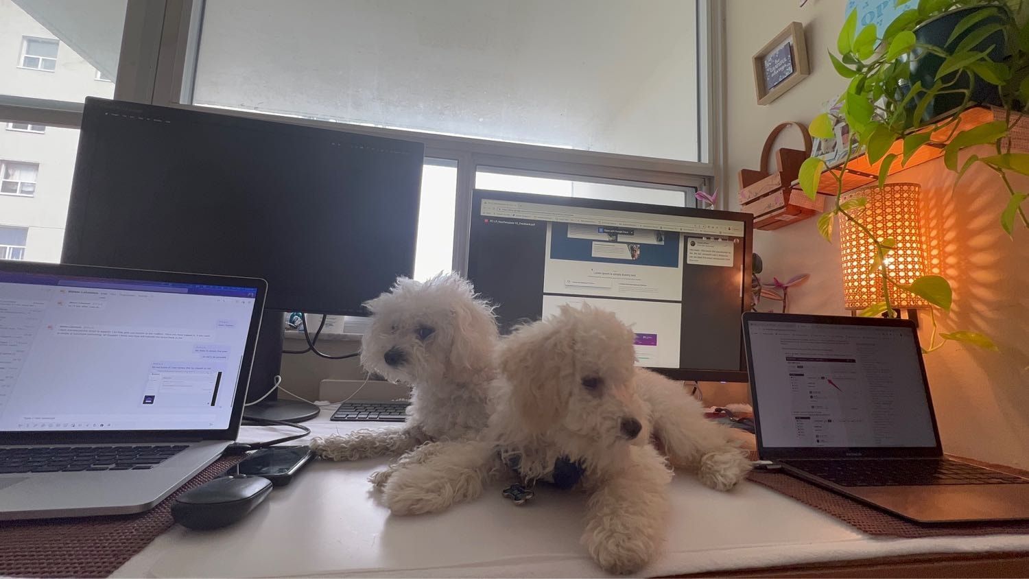 image-4