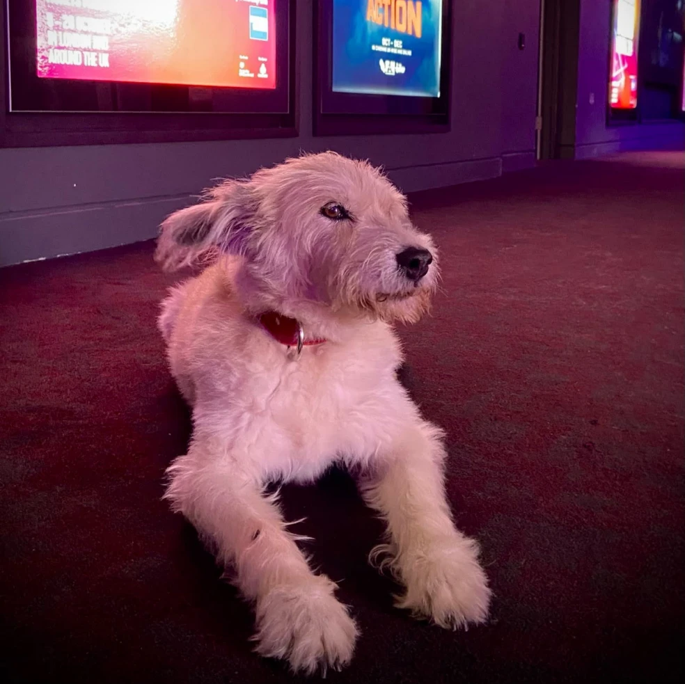 Sonoma