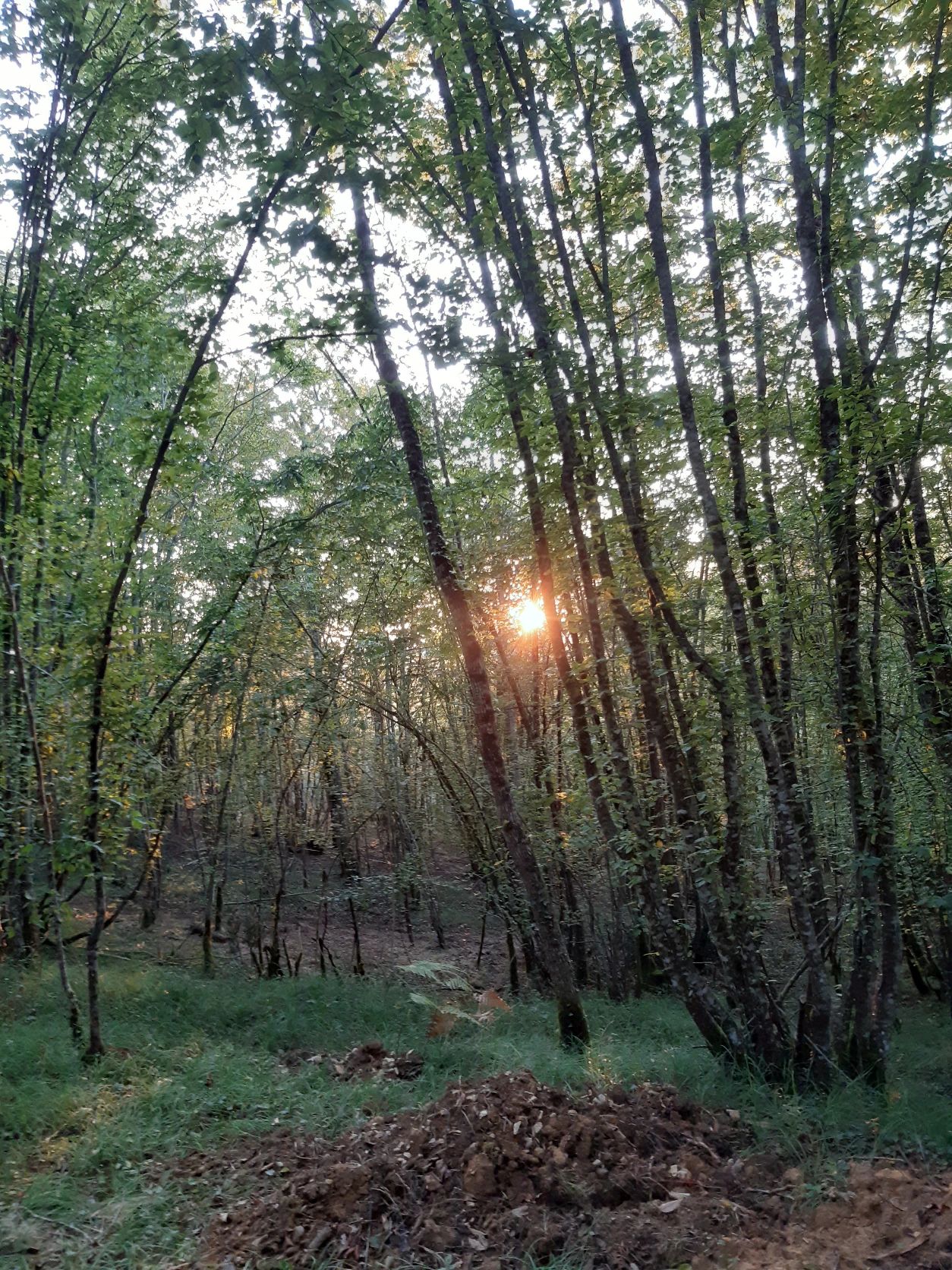 image-9