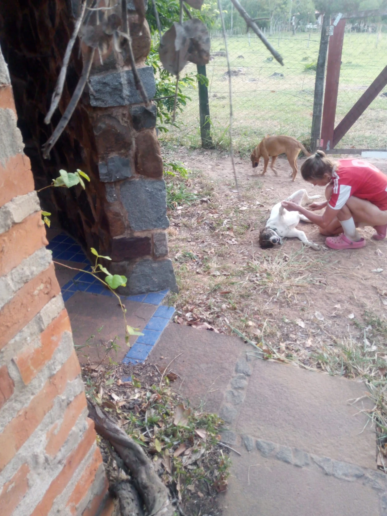 image-7