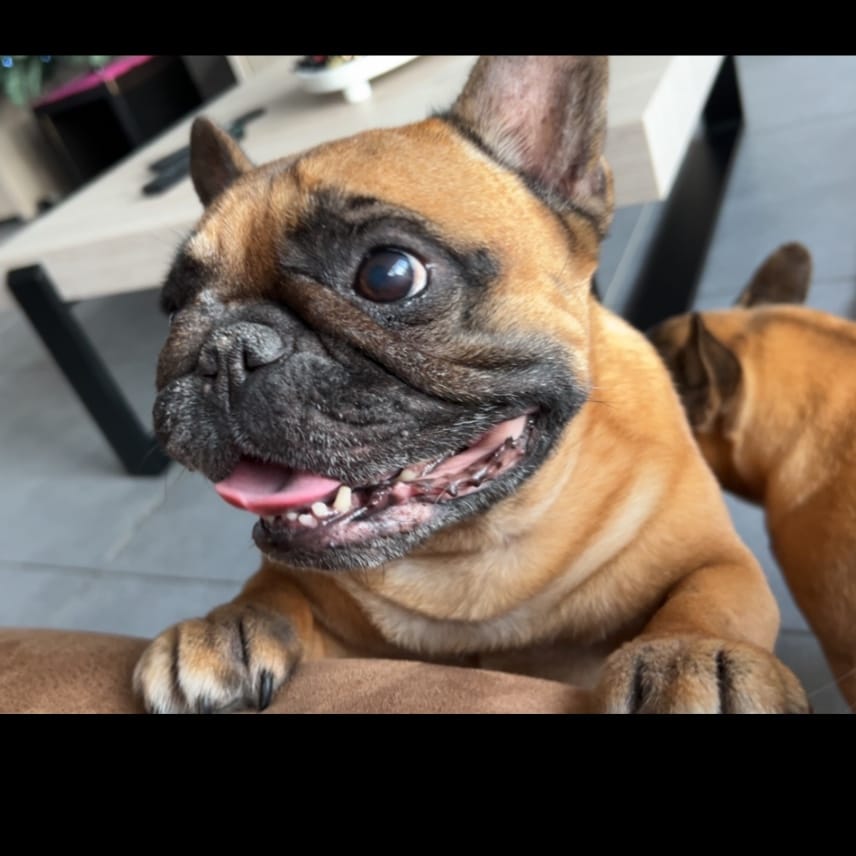 Ella