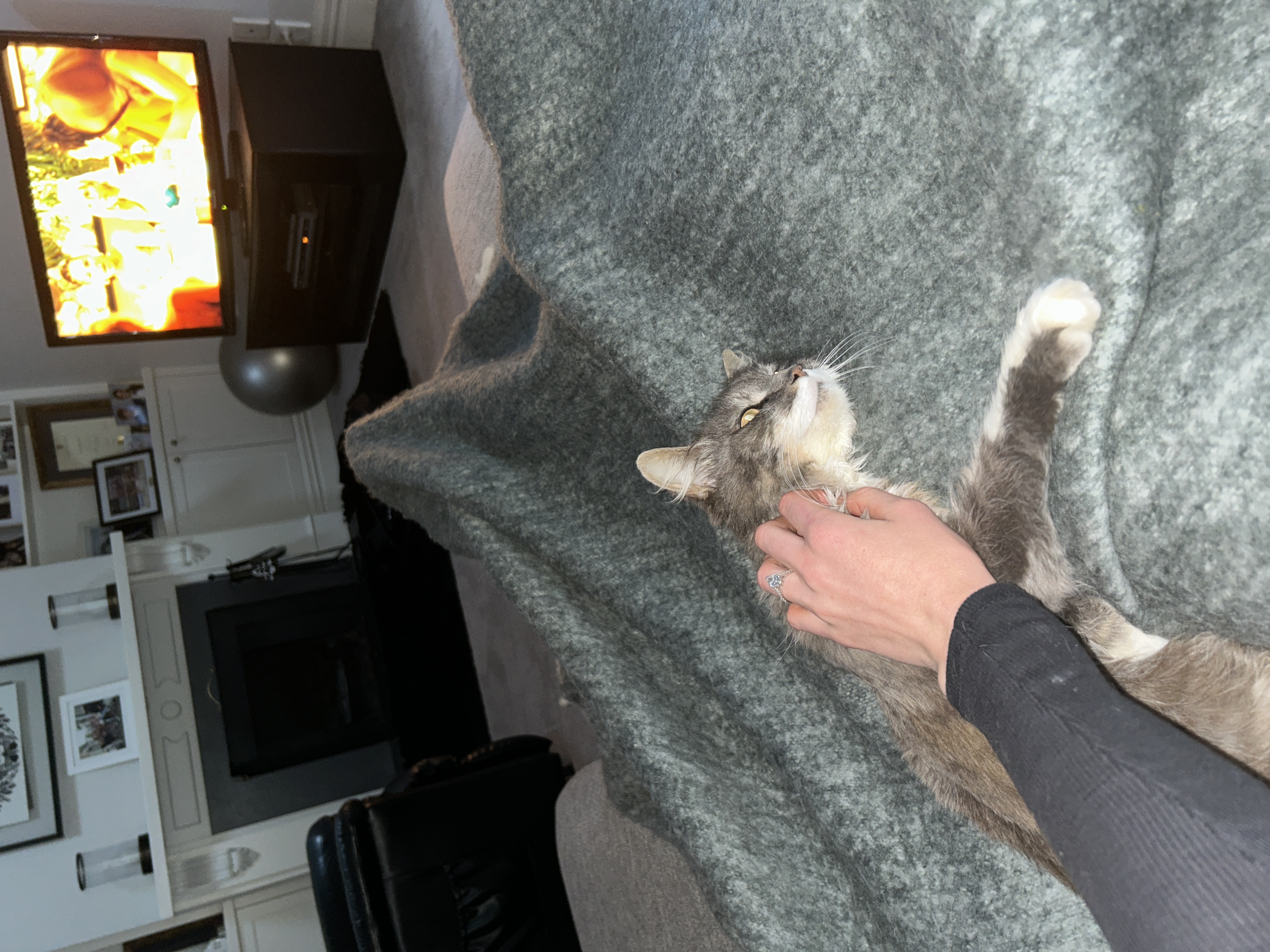 image-8