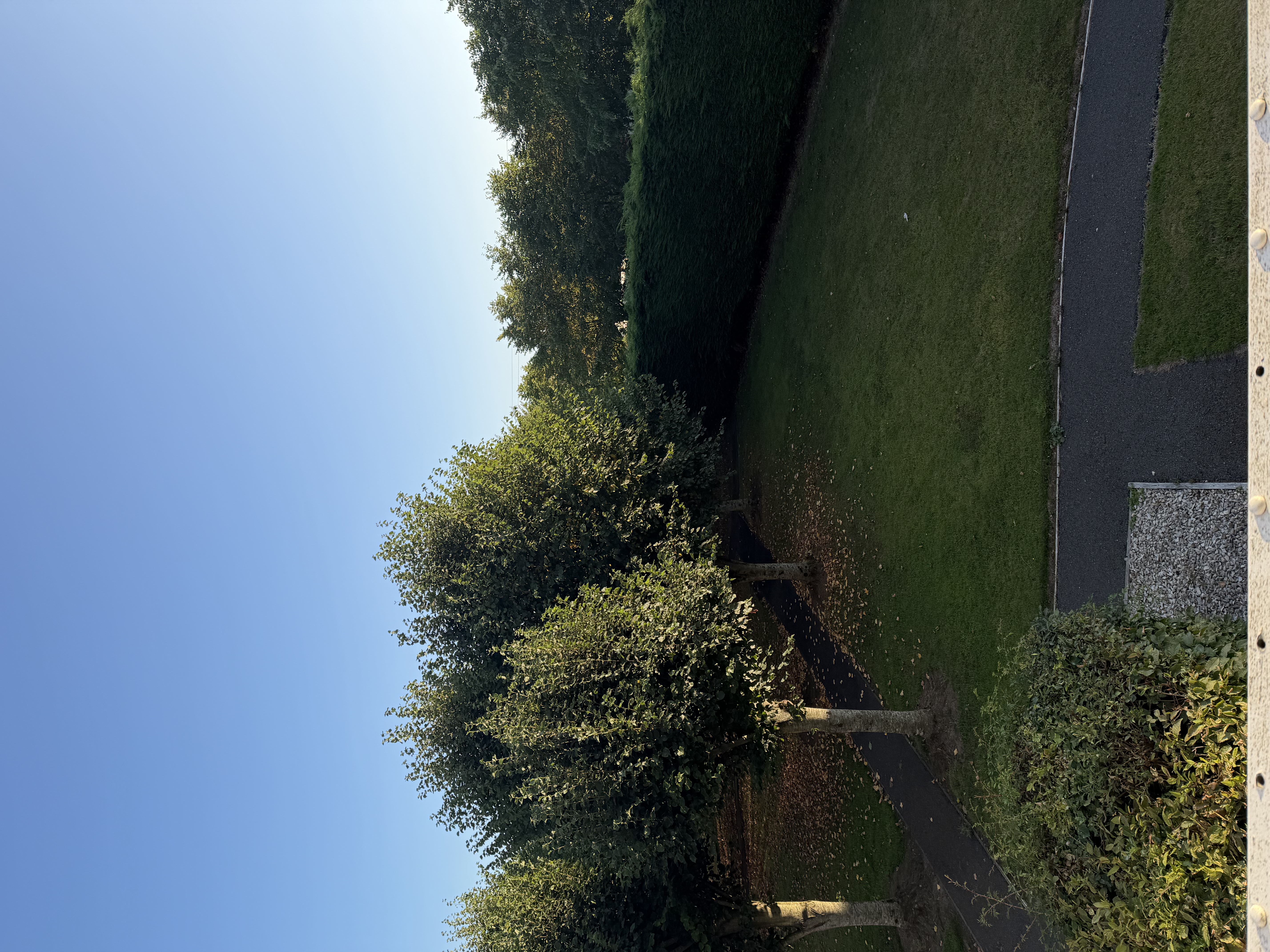 image-14