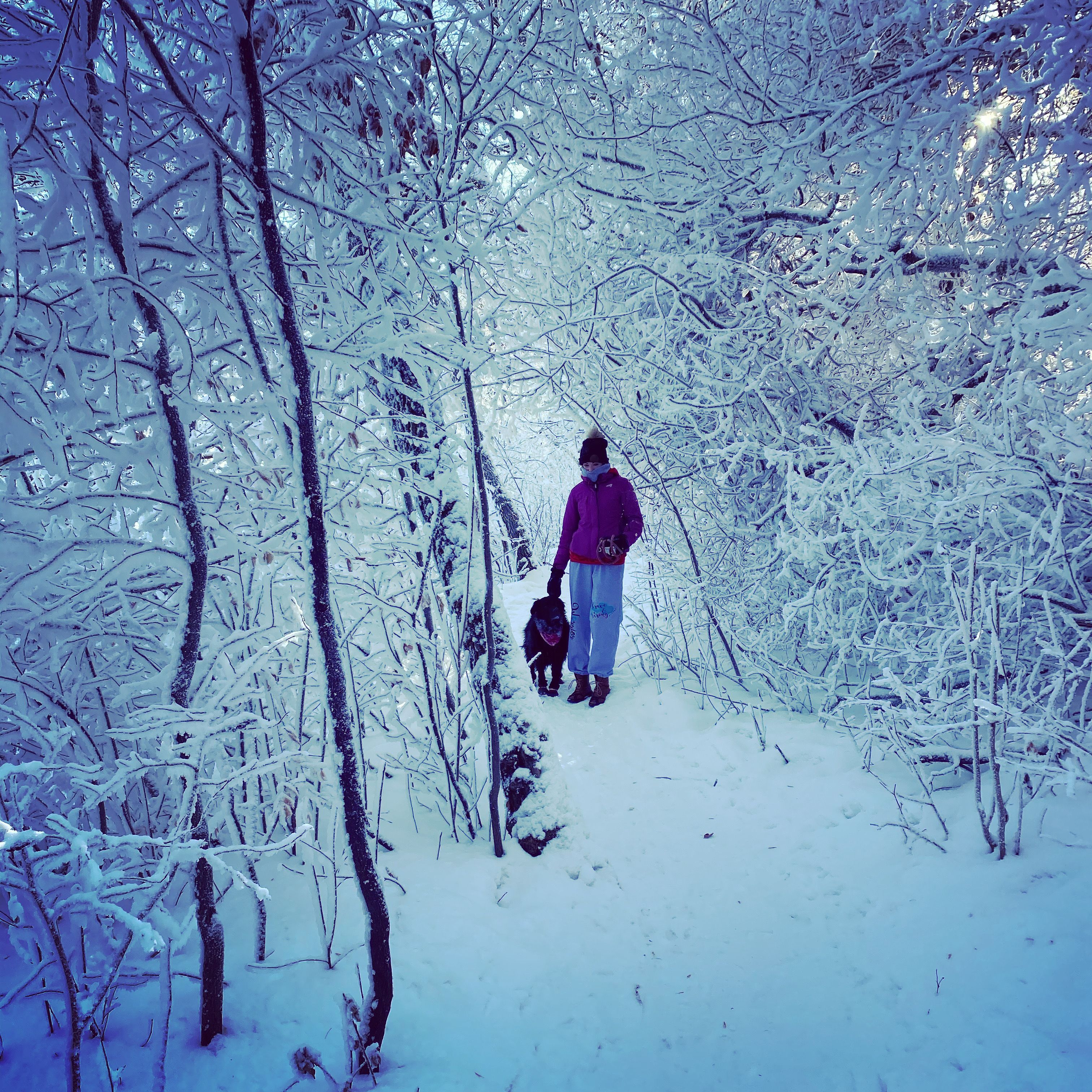 image-6