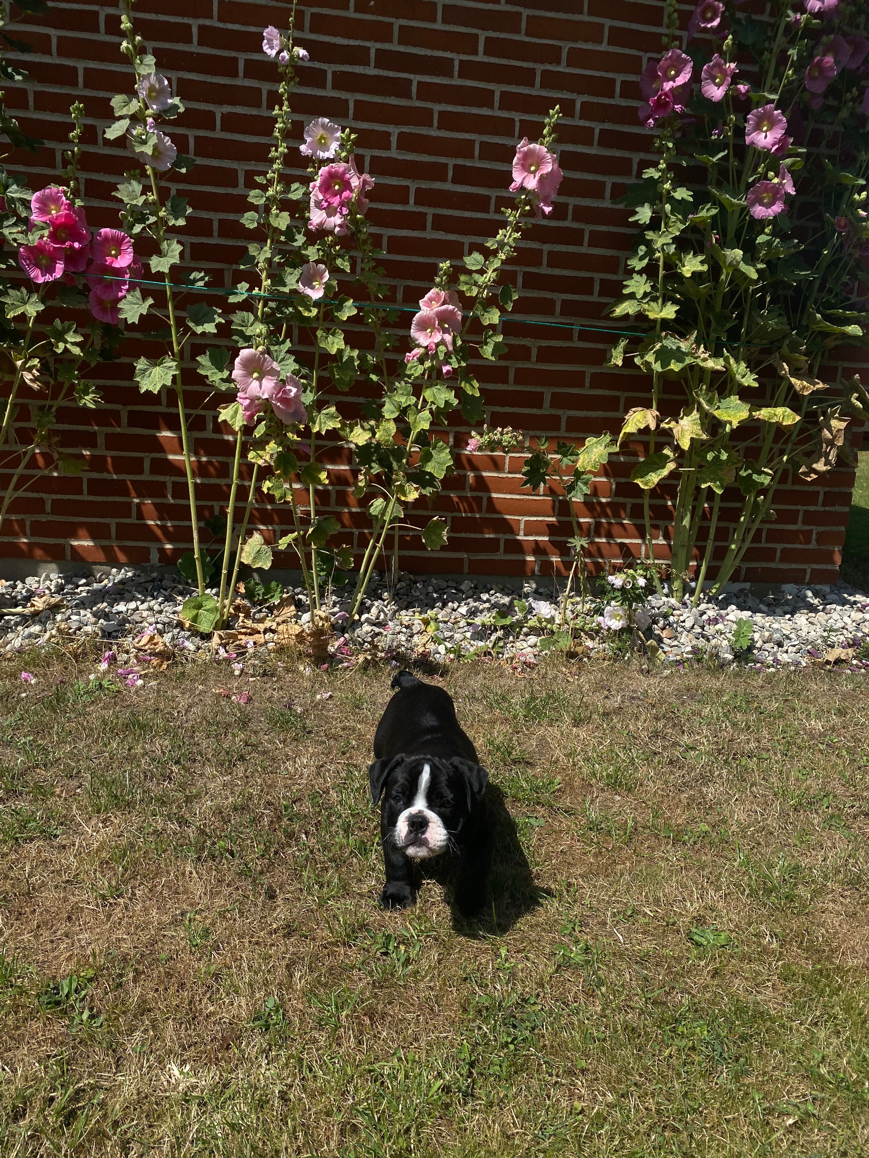 image-20