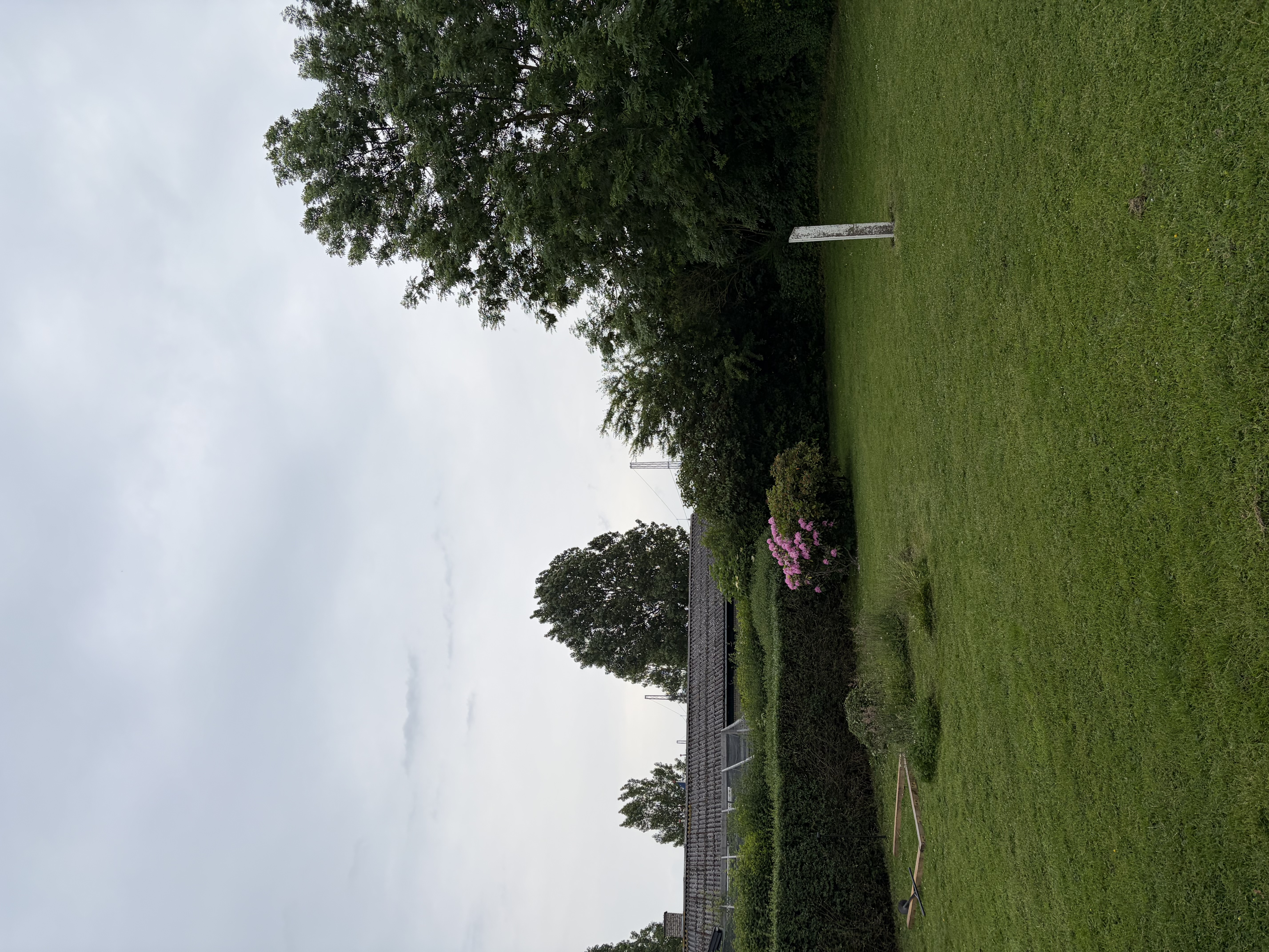 image-24