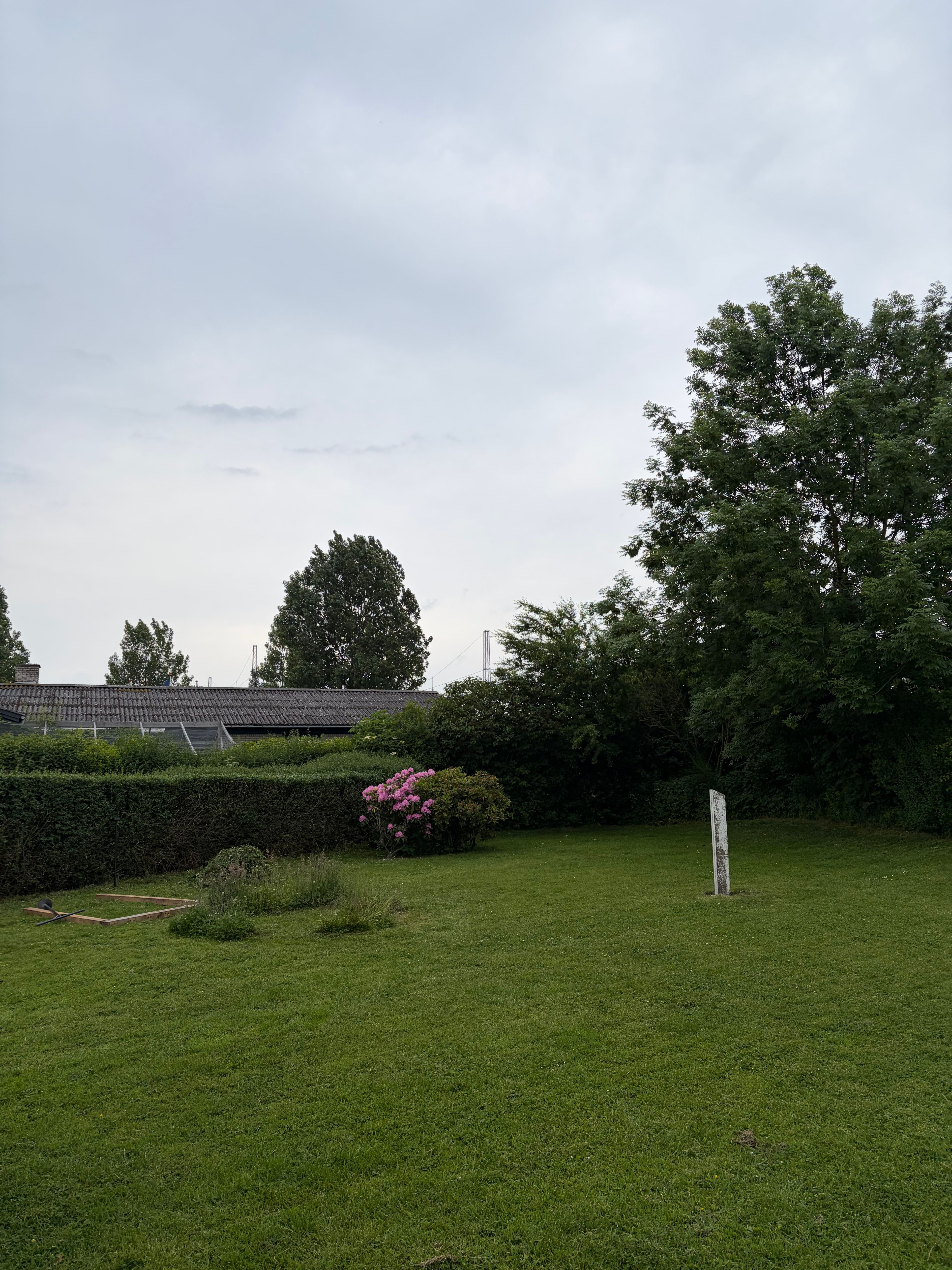 image-24