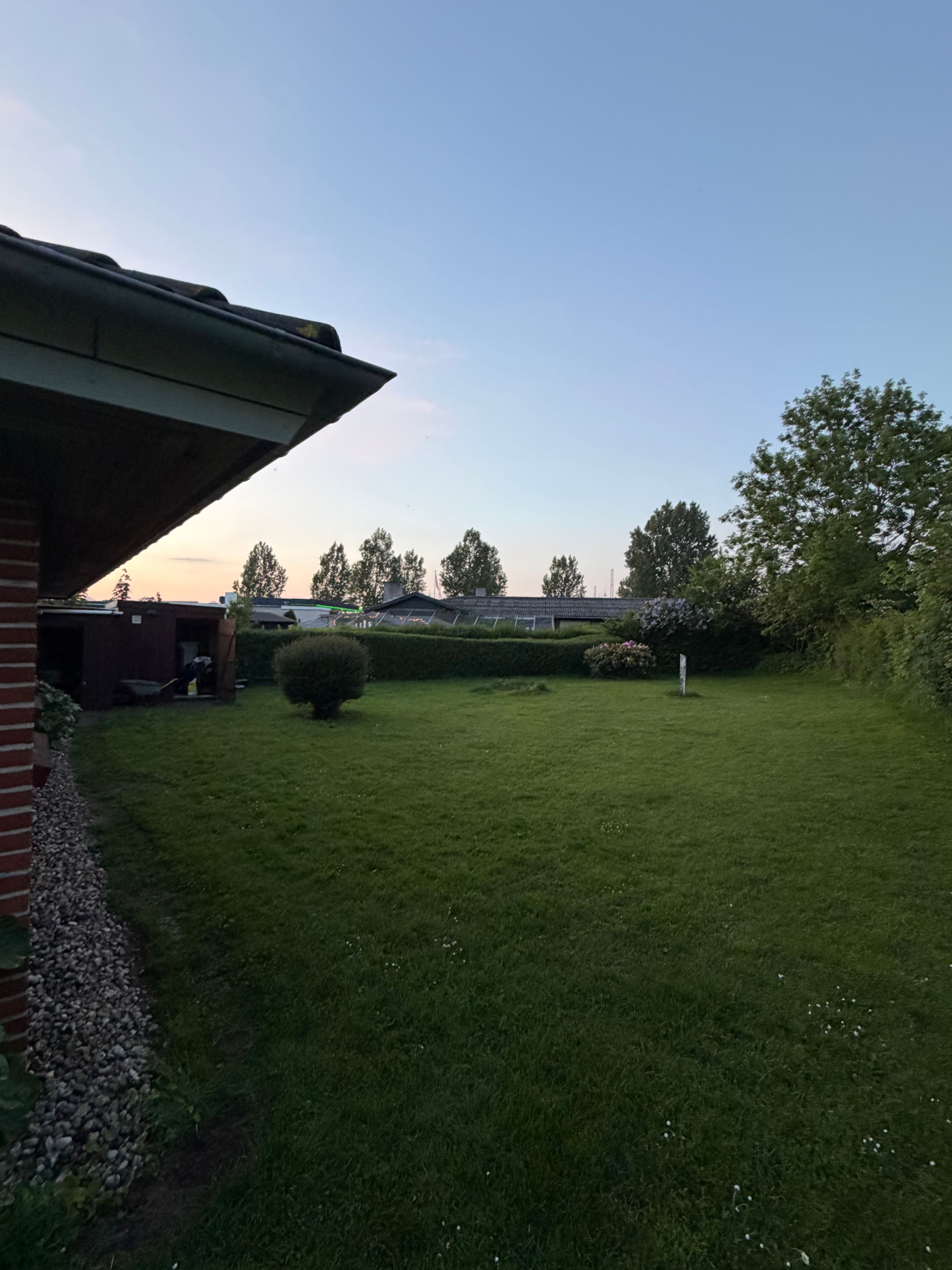 image-22