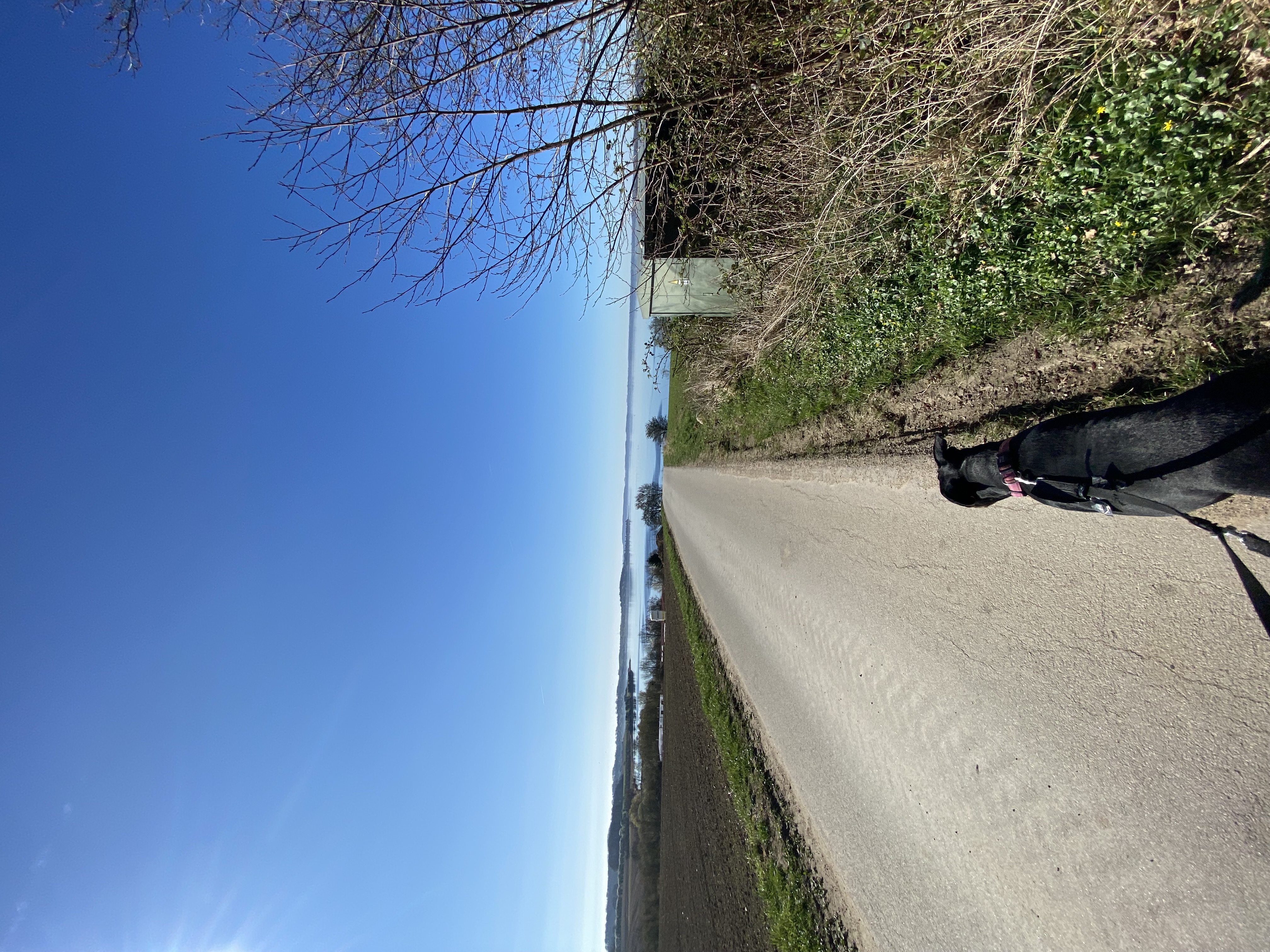 image-14