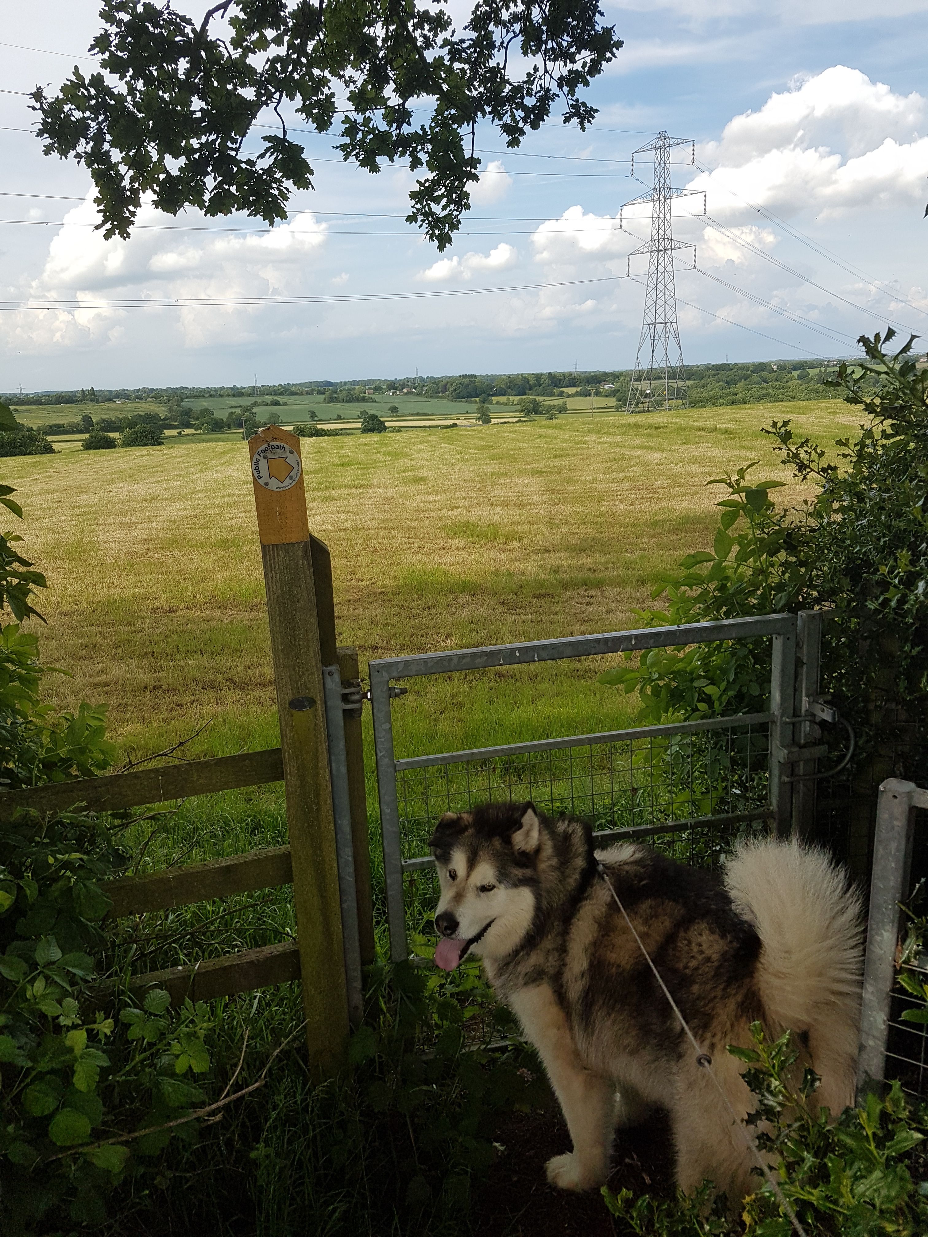 image-8