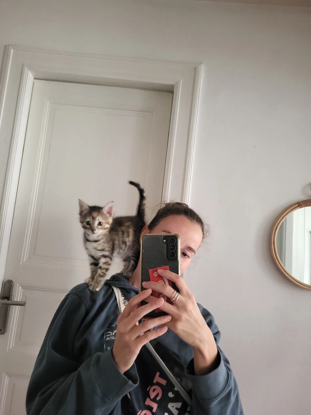image-6