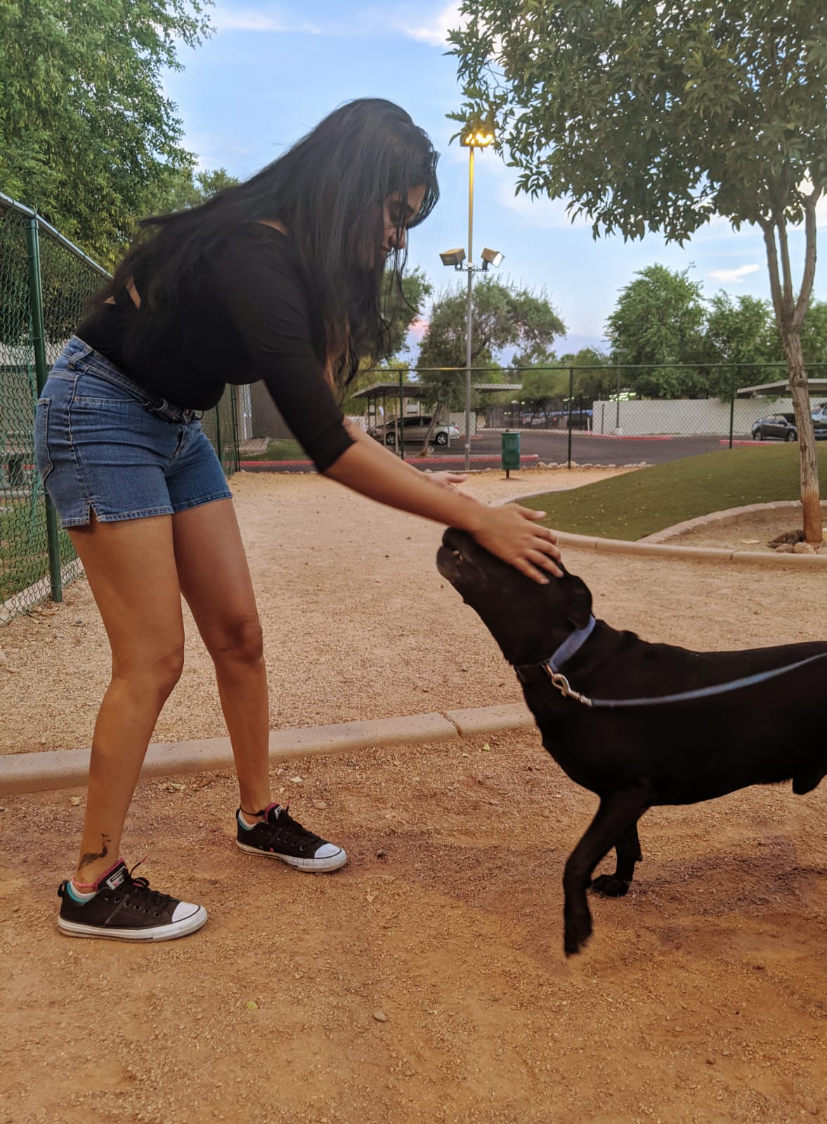 image-5