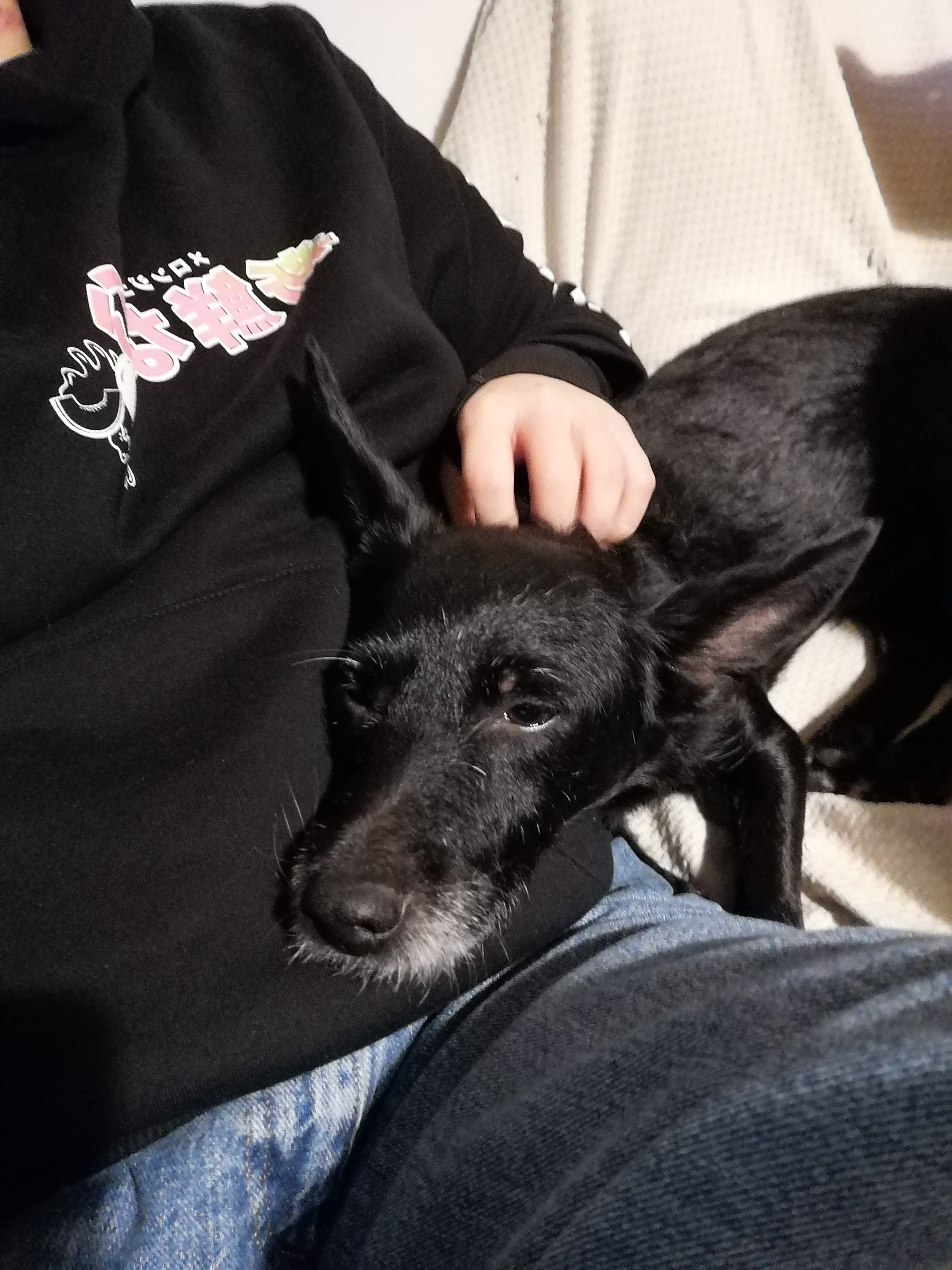 image-8