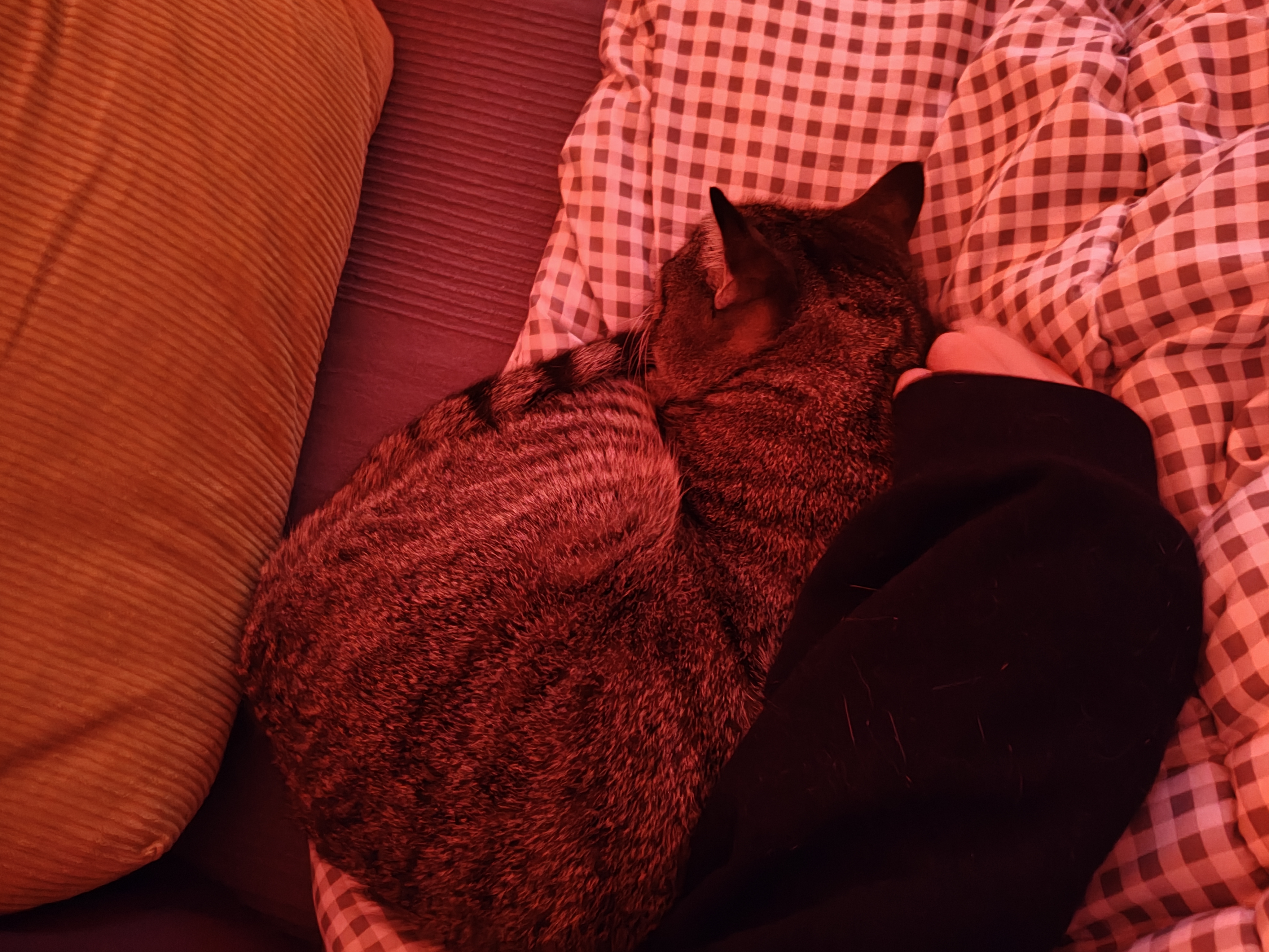 image-5