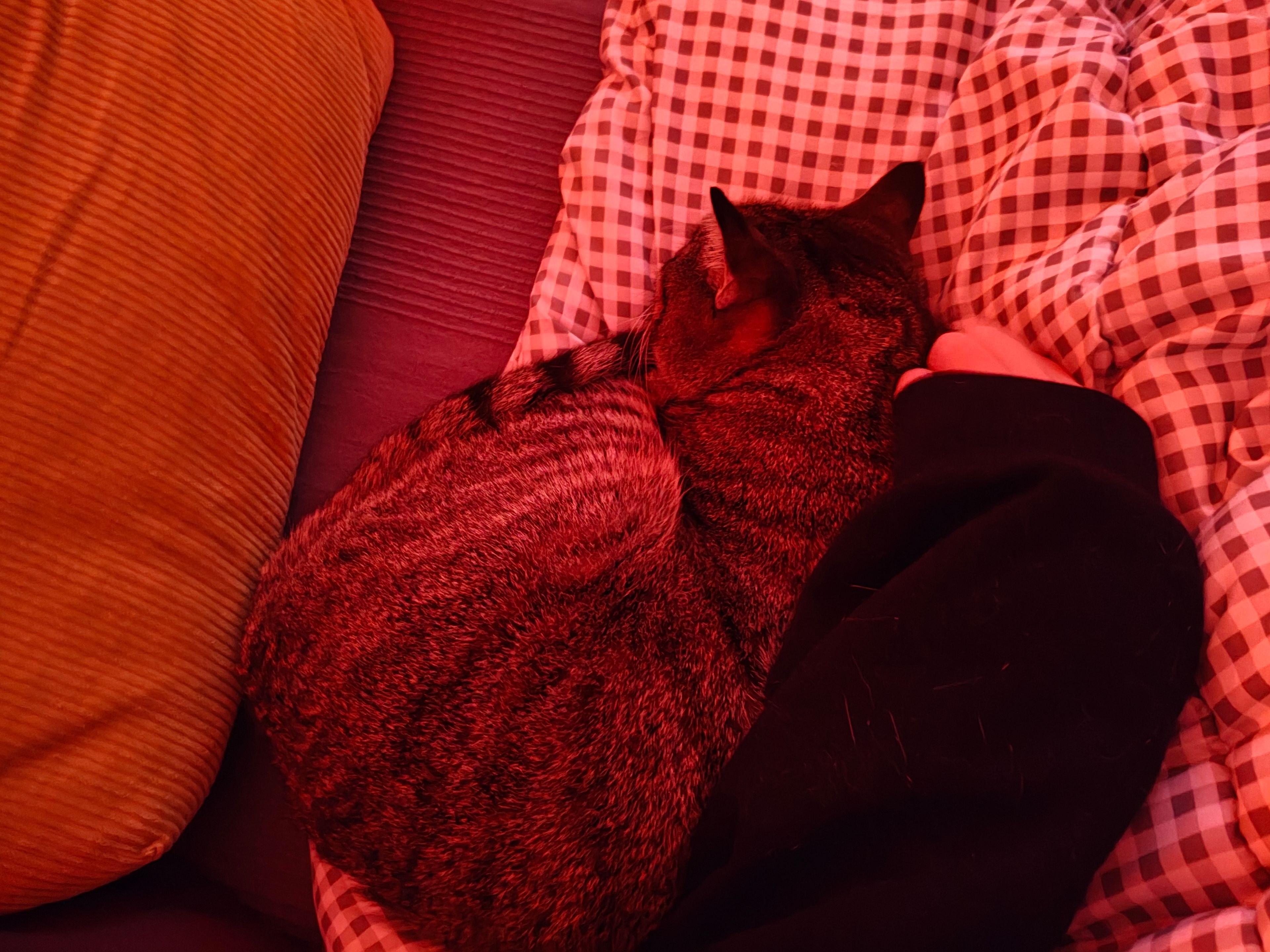 image-5